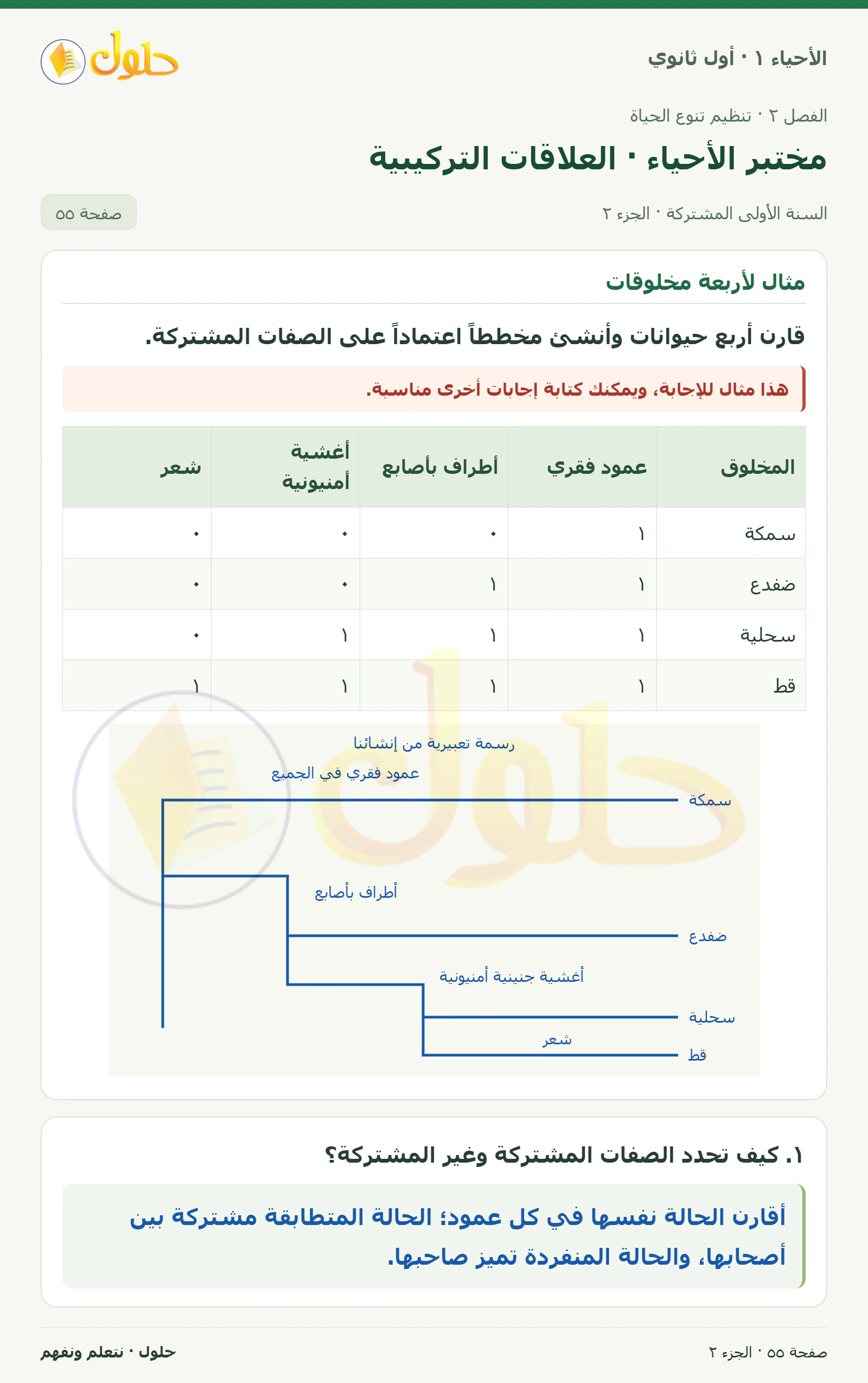 مختبر الأحياء · العلاقات التركيبية في كتاب الأحياء ١ للصف الأول الثانوي صفحة ٥٥، الجزء ٢ من ٤