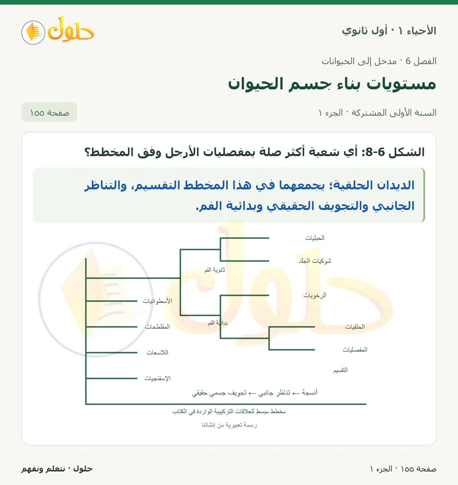 مستويات بناء جسم الحيوان في كتاب الأحياء ١ للصف الأول الثانوي صفحة ١٥٥