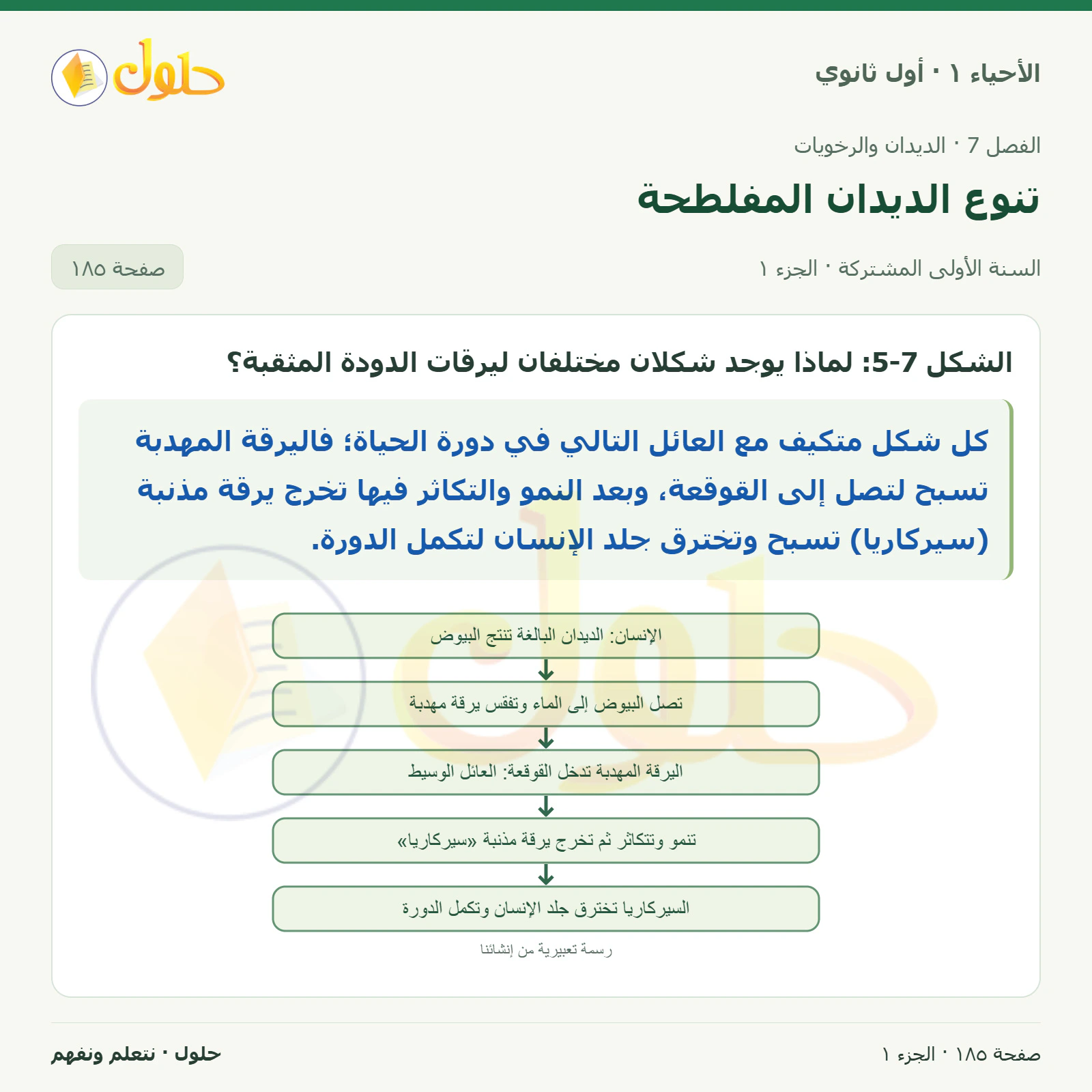 تنوع الديدان المفلطحة في كتاب الأحياء ١ للصف الأول الثانوي صفحة ١٨٥