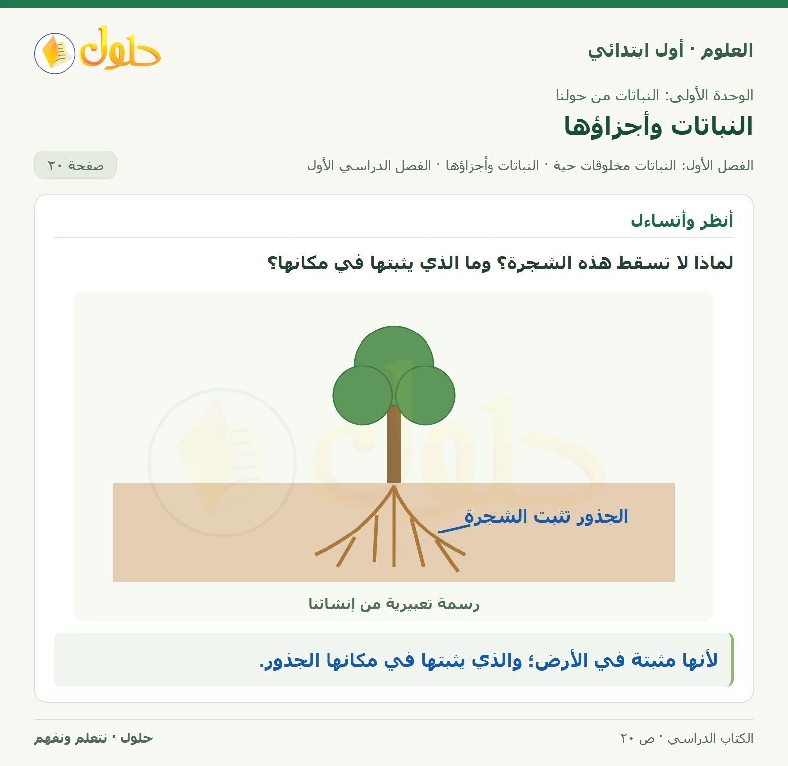 حل العلوم للصف الأول الابتدائي صفحة ٢٠
