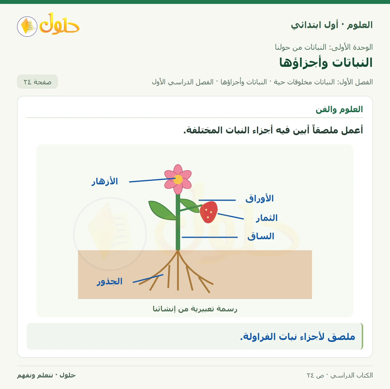 حل العلوم للصف الأول الابتدائي صفحة ٢٤، الجزء ٢
