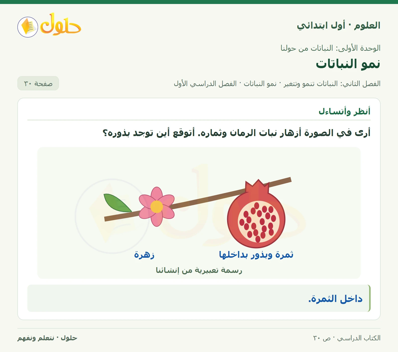حل العلوم للصف الأول الابتدائي صفحة ٣٠