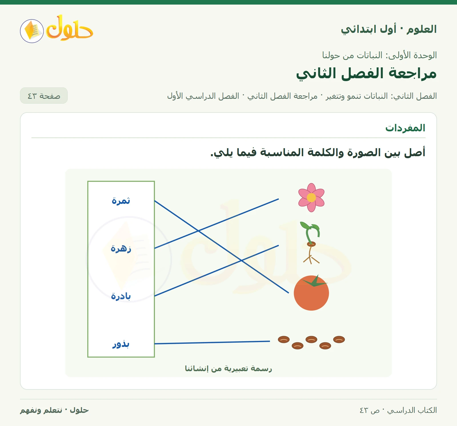 حل العلوم للصف الأول الابتدائي صفحة ٤٣