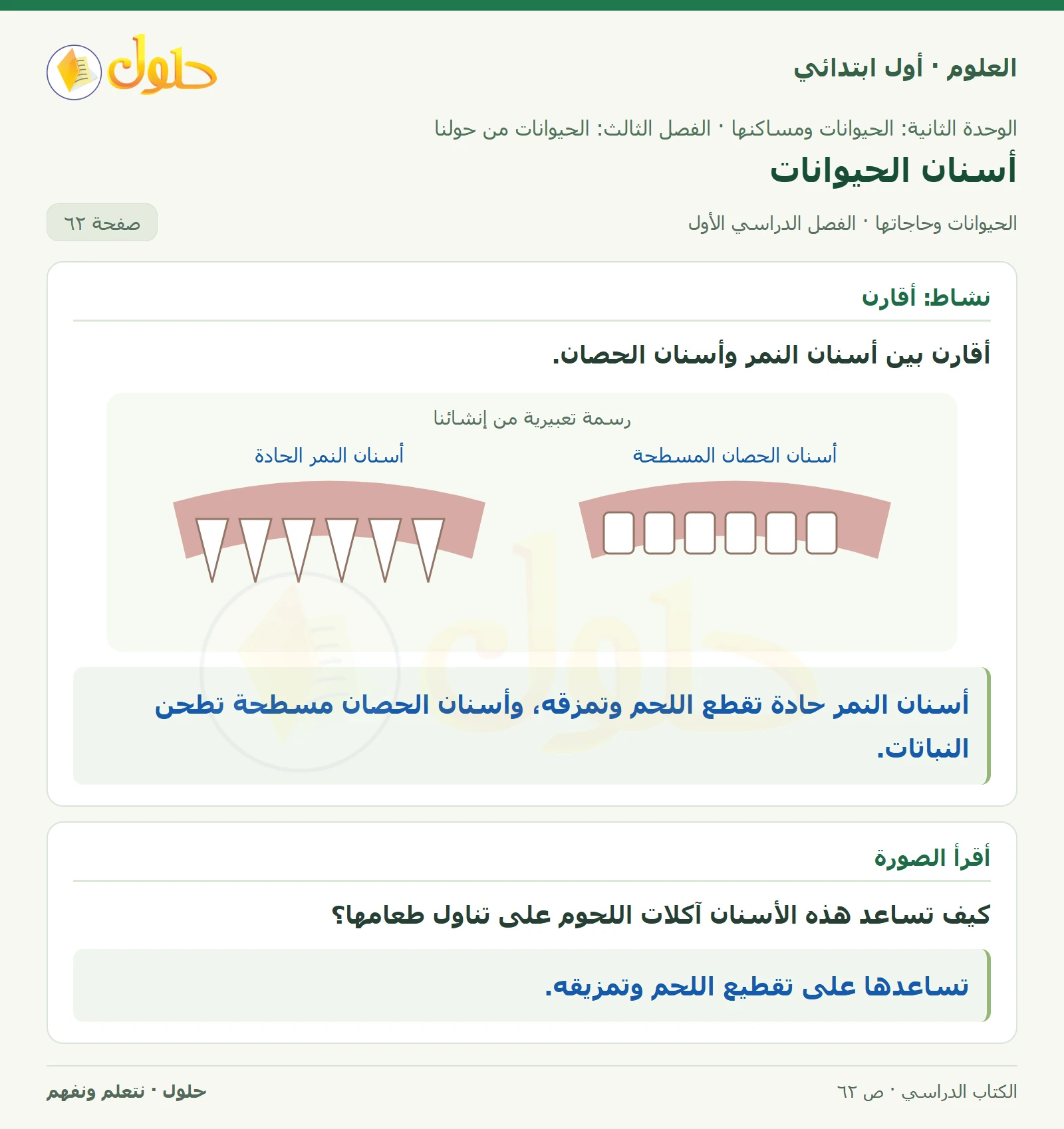 حل العلوم للصف الأول الابتدائي صفحة ٦٢
