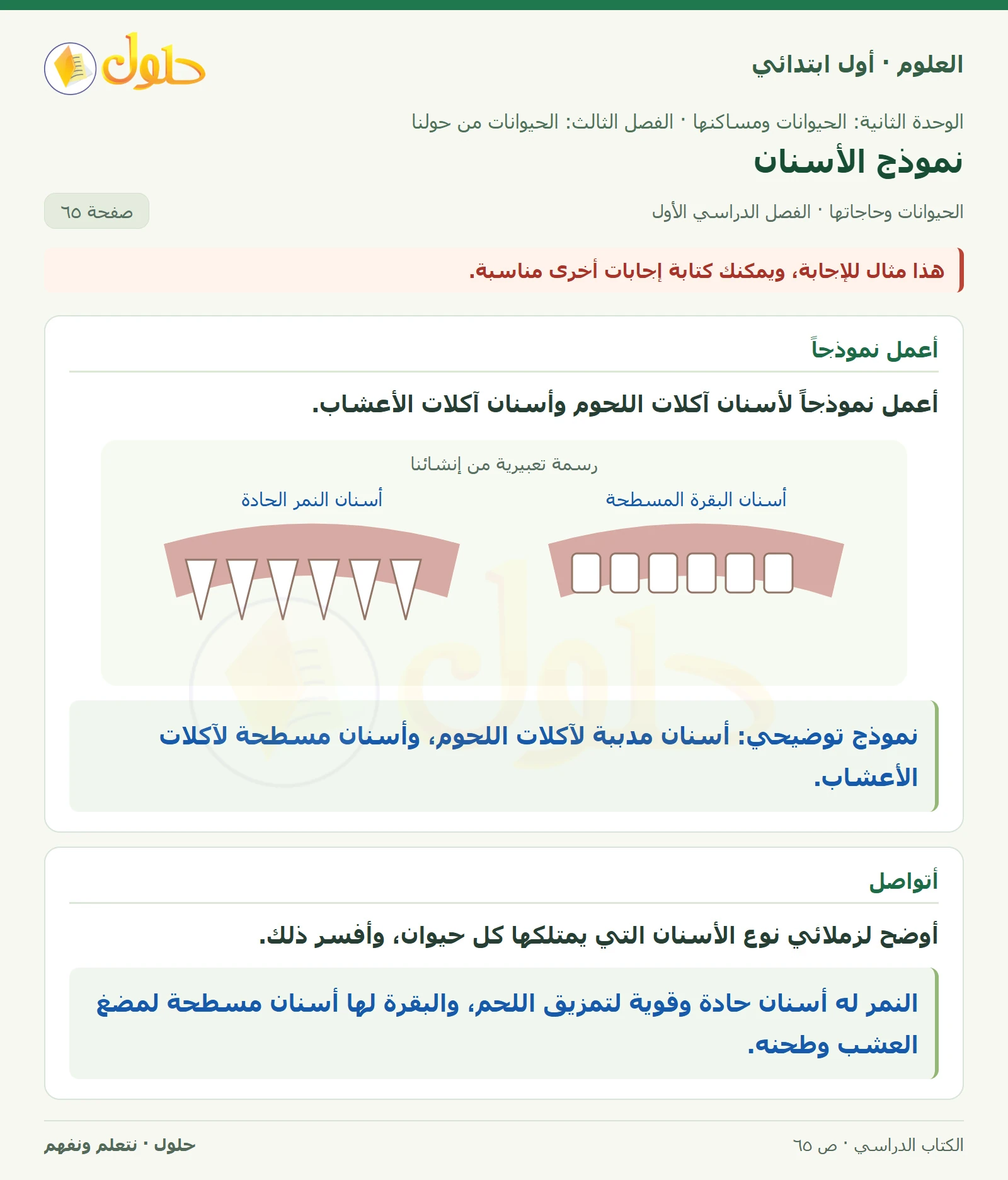 حل العلوم للصف الأول الابتدائي صفحة ٦٥، الجزء ١