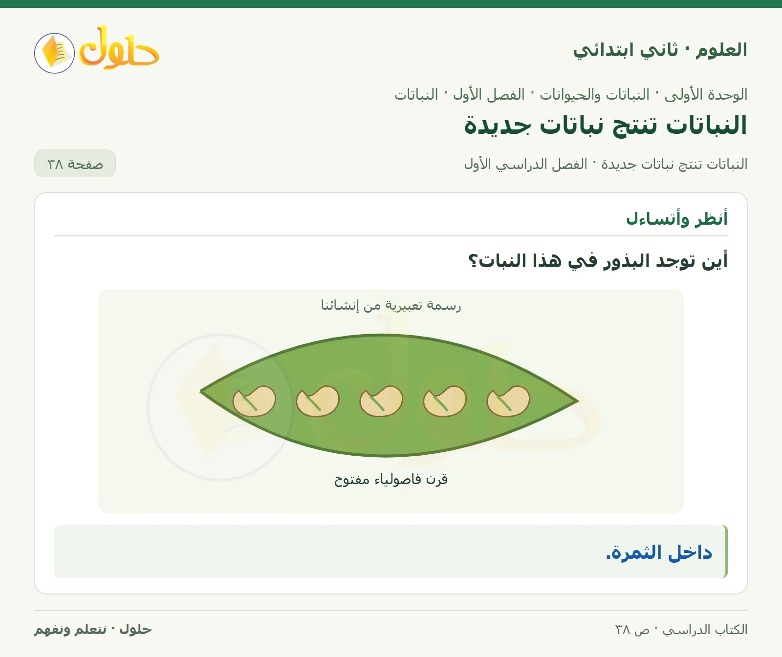 حل العلوم للصف الثاني الابتدائي صفحة 38 الجزء 1