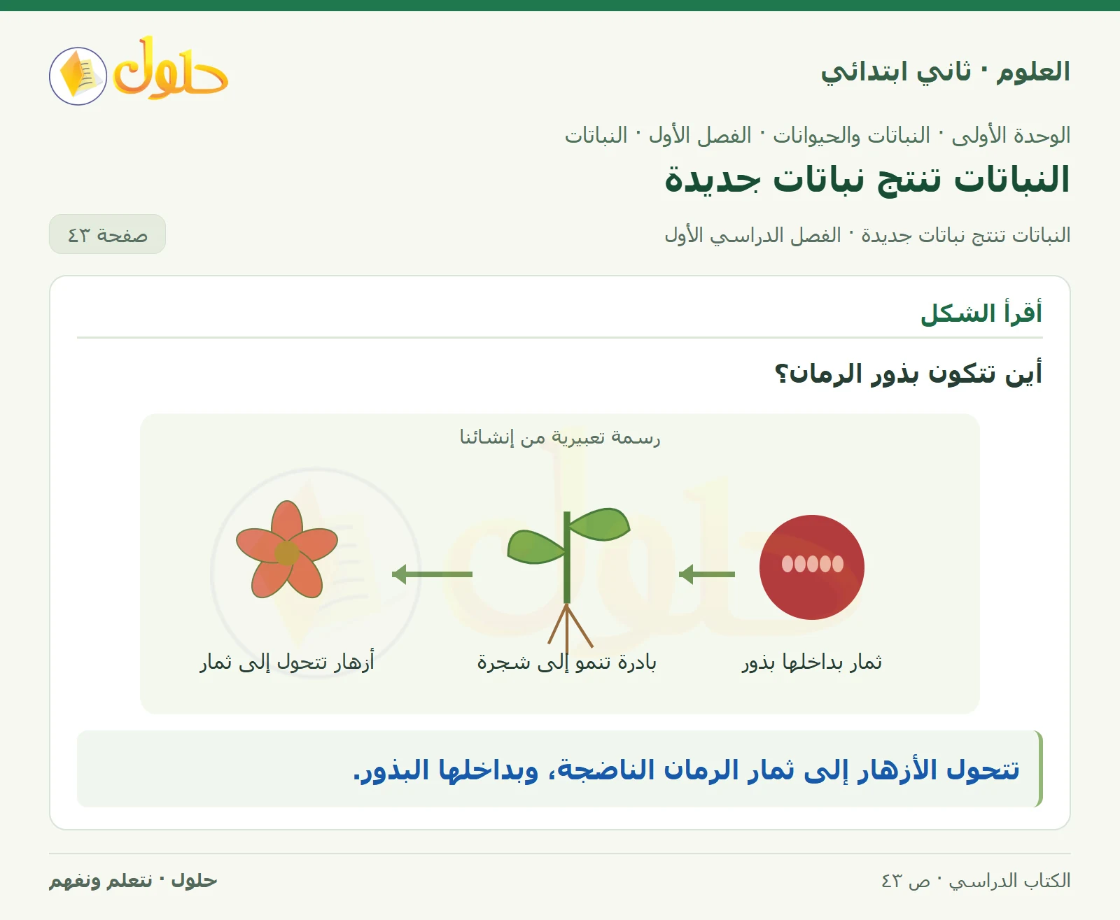 حل العلوم للصف الثاني الابتدائي صفحة 43 الجزء 2