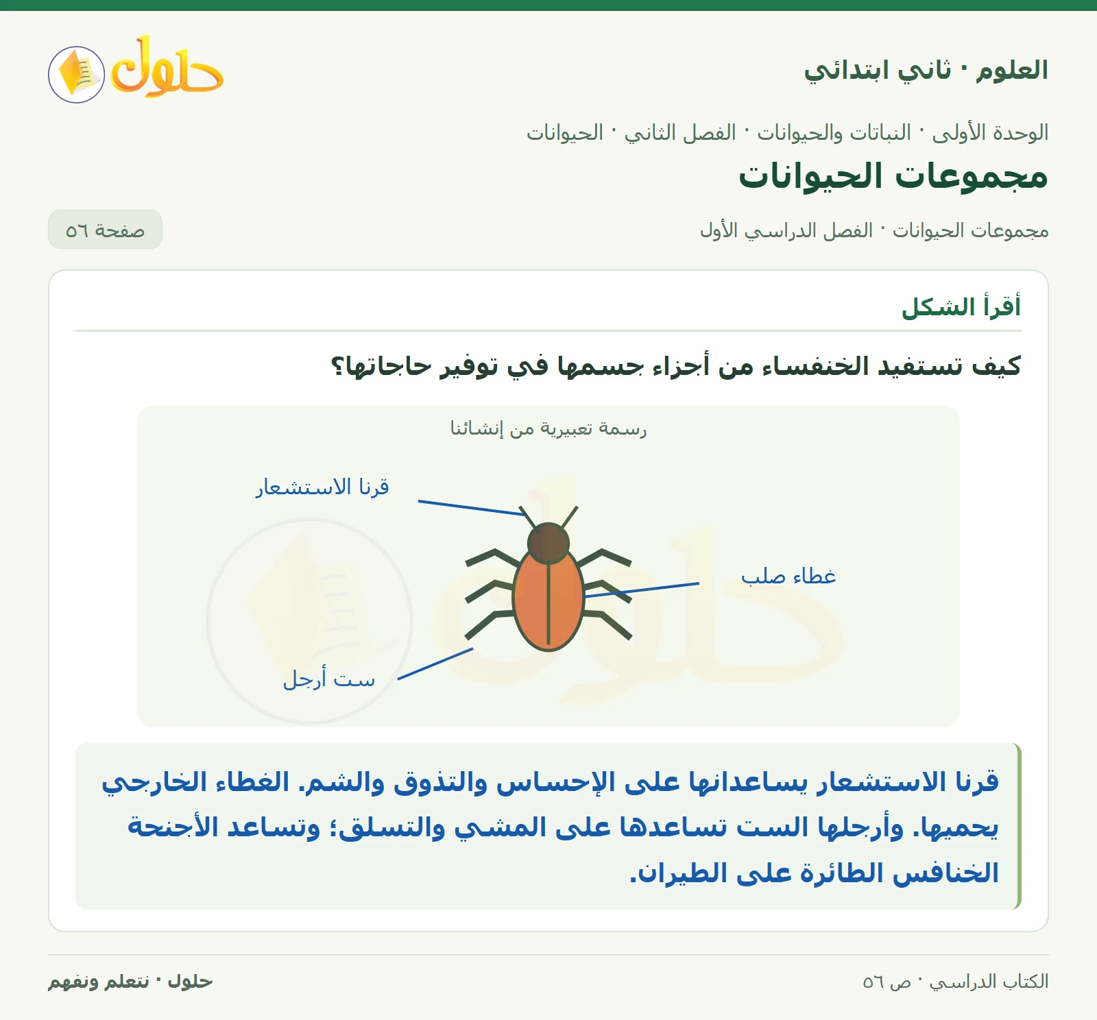 حل العلوم للصف الثاني الابتدائي صفحة 56 الجزء 1