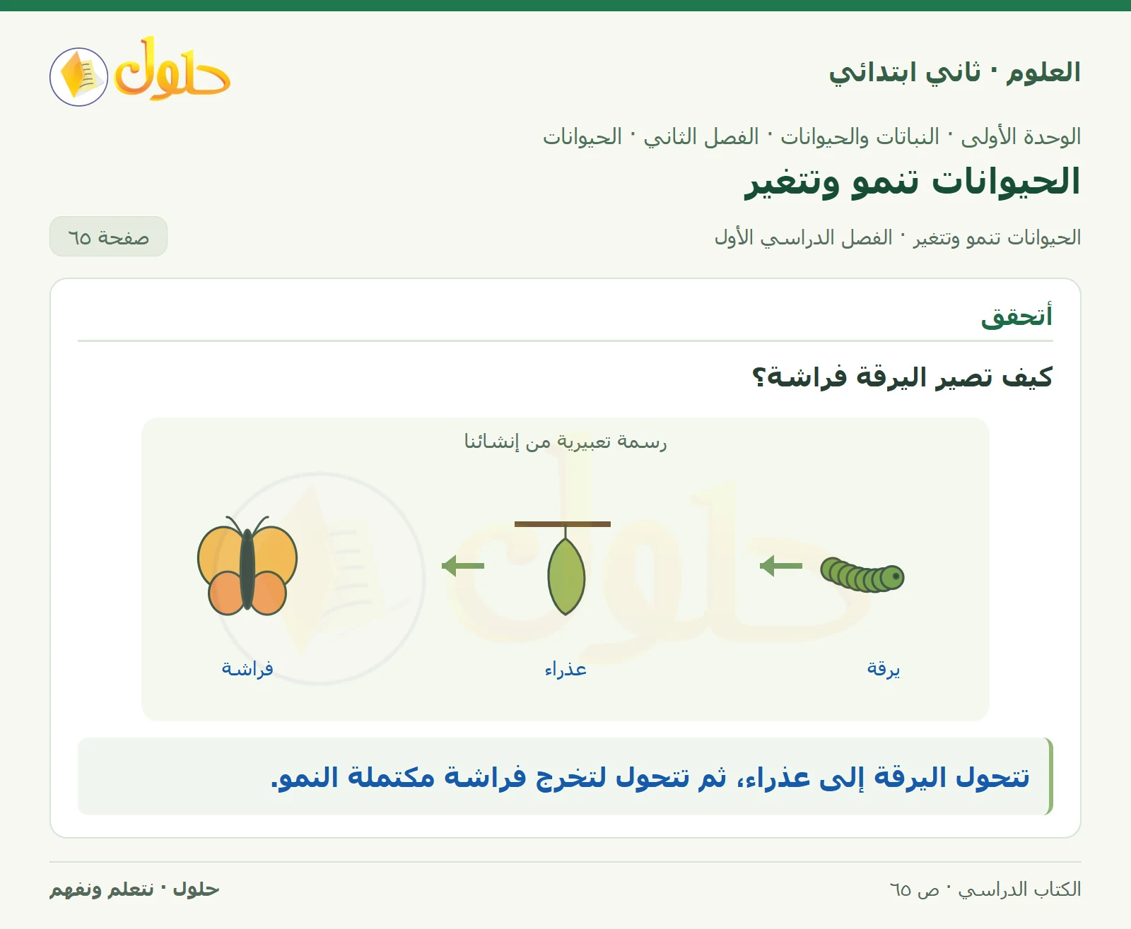 حل العلوم للصف الثاني الابتدائي صفحة 65 الجزء 1