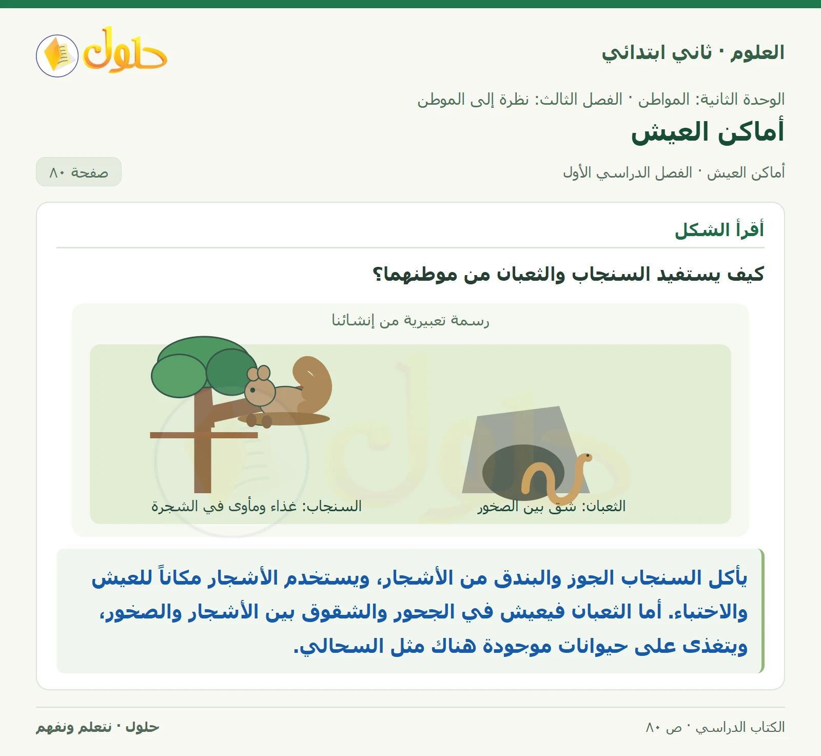 حل العلوم للصف الثاني الابتدائي صفحة 80 الجزء 1