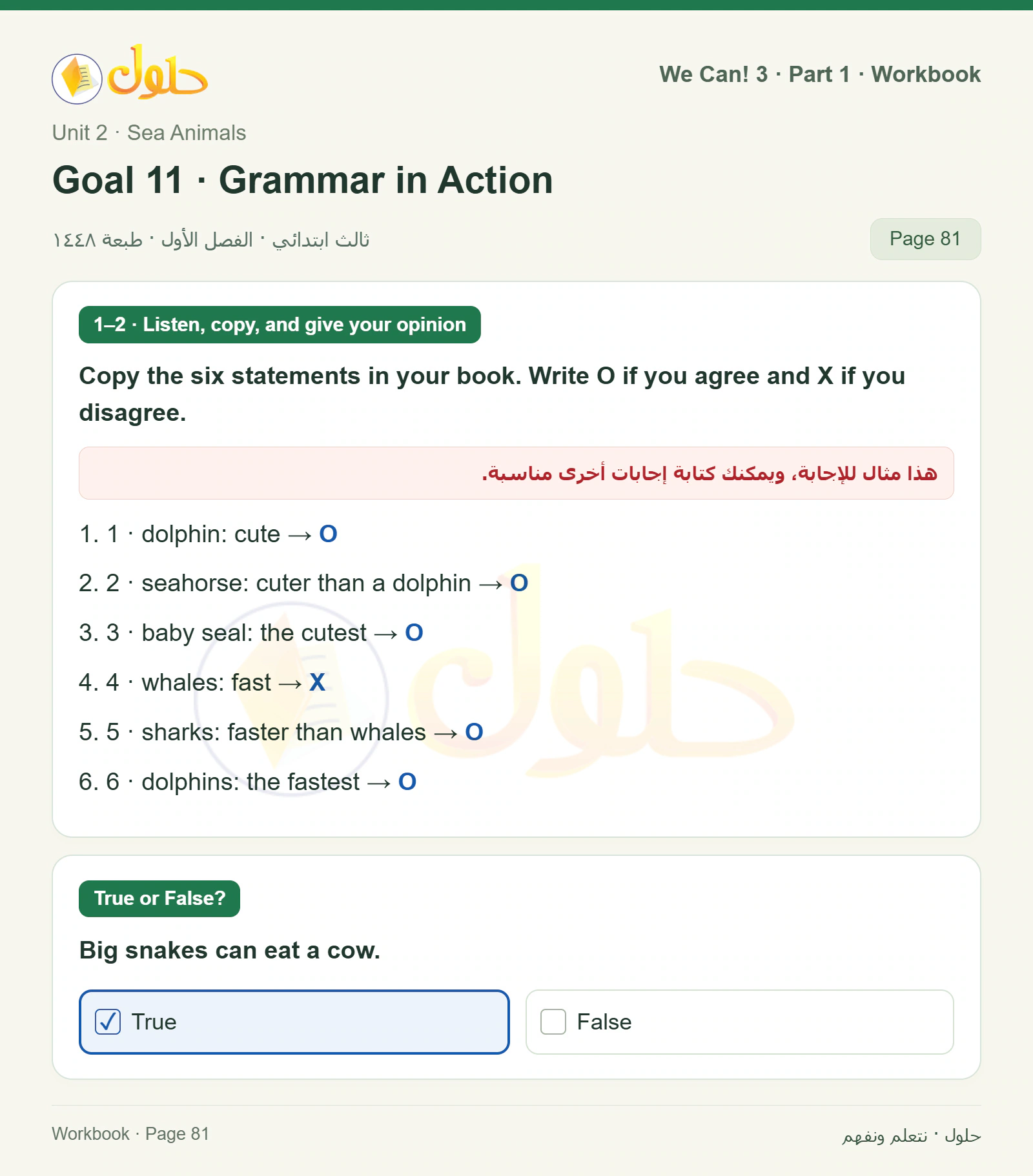 حل اللغة الإنجليزية للصف الثالث الابتدائي كتاب النشاط صفحة 81