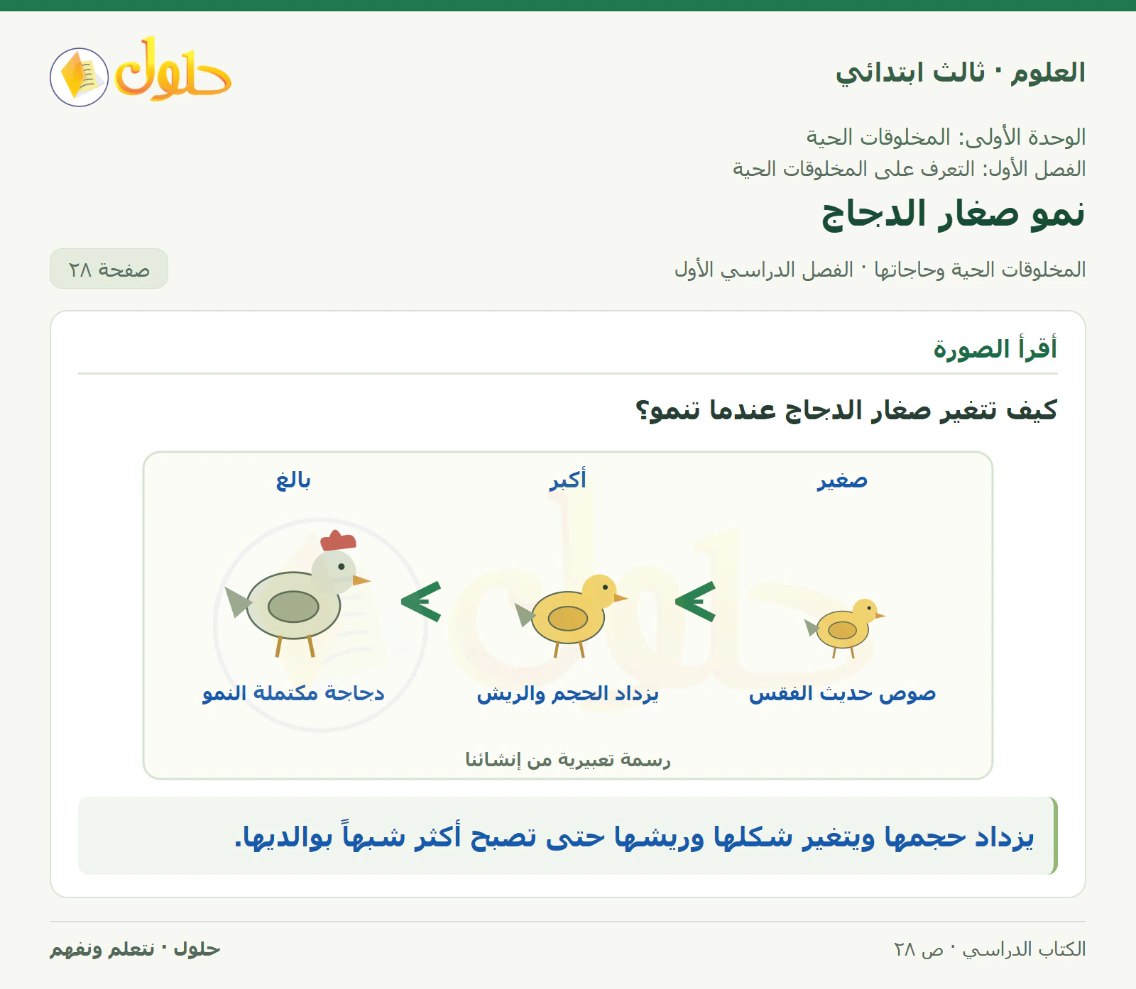 العلوم للصف الثالث الابتدائي، الفصل الدراسي الأول، المخلوقات الحية وحاجاتها، صفحة ٢٨، الجزء ١