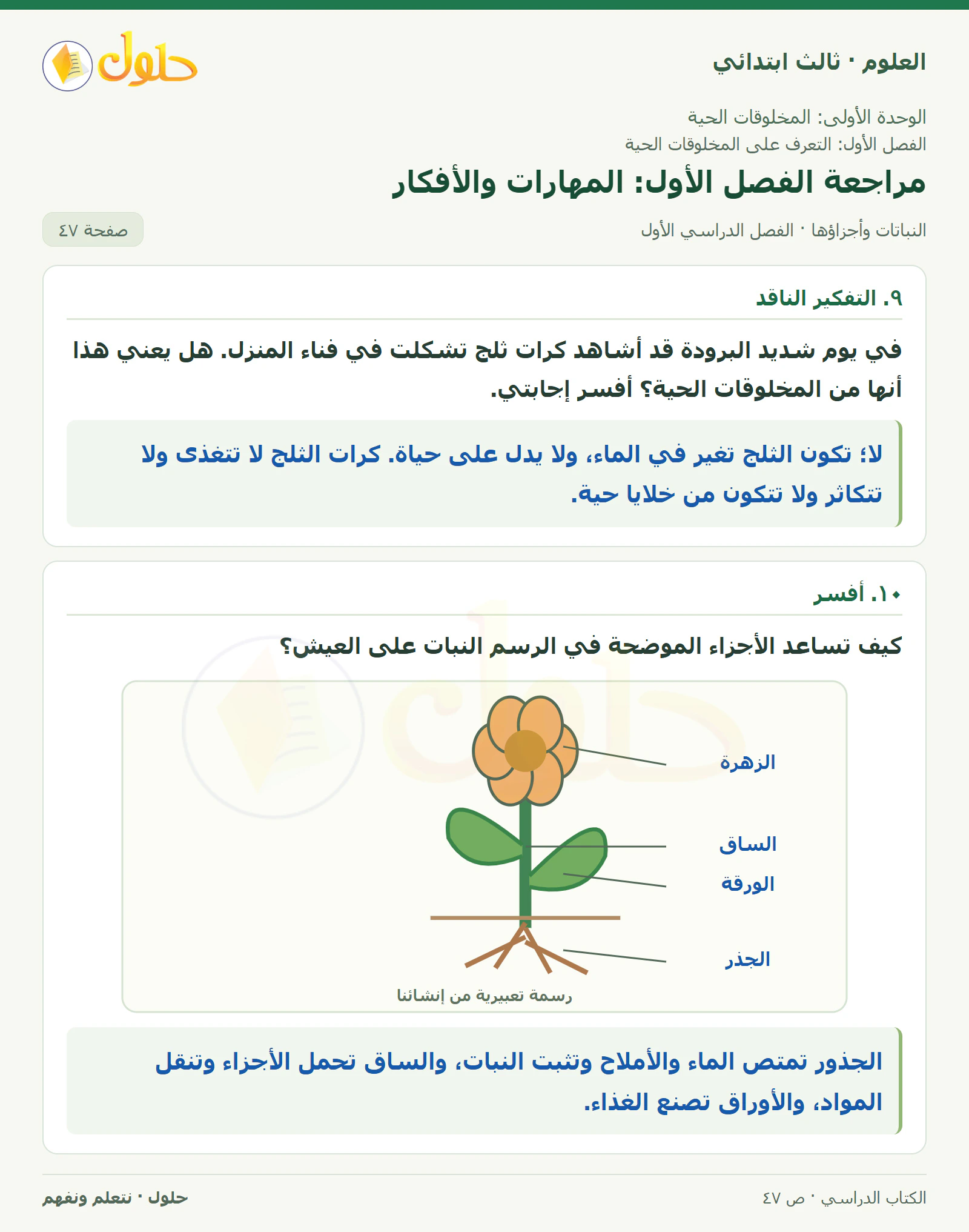العلوم للصف الثالث الابتدائي، الفصل الدراسي الأول، النباتات وأجزاؤها، صفحة ٤٧، الجزء ٢