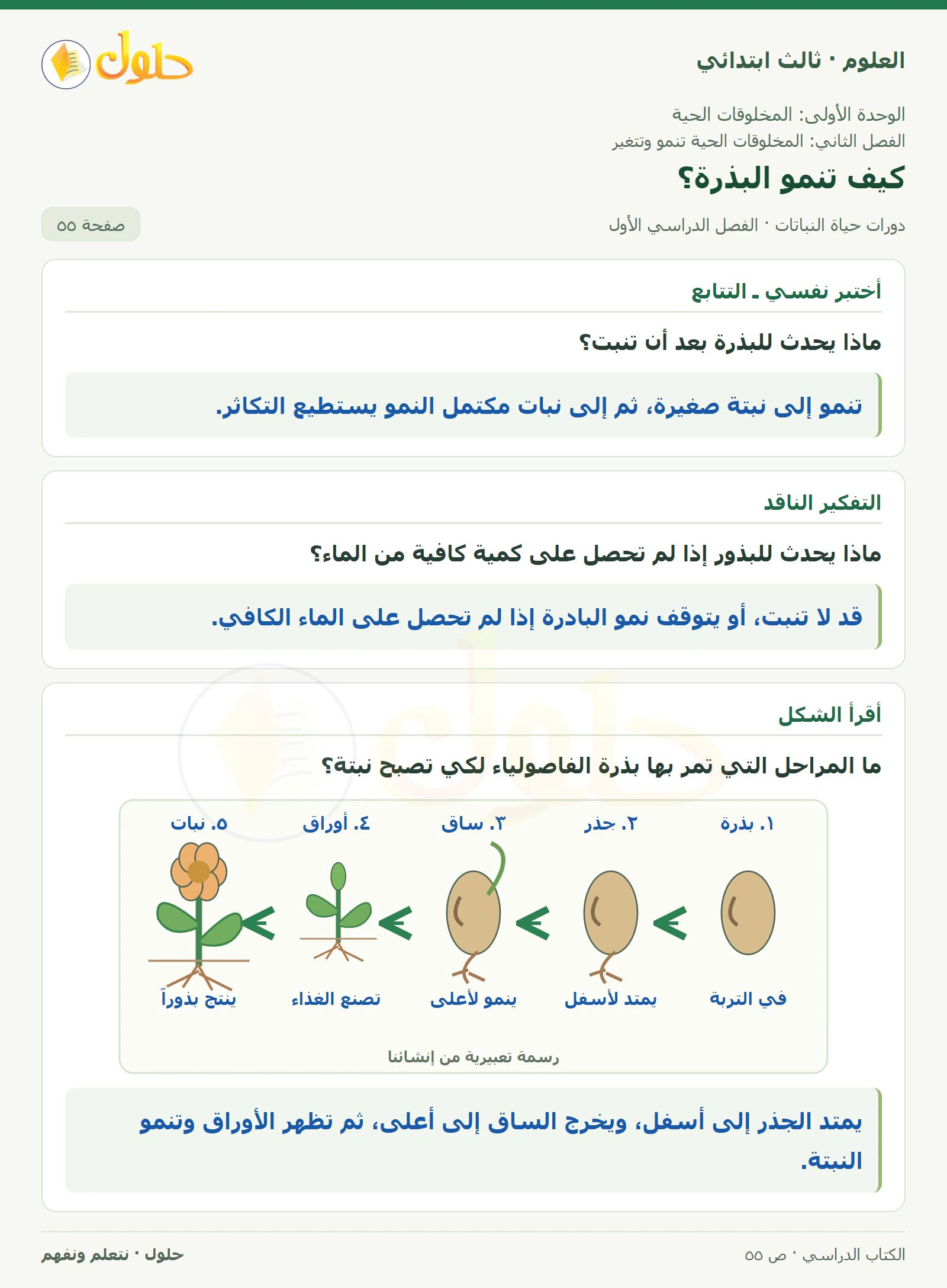 العلوم للصف الثالث الابتدائي، الفصل الدراسي الأول، دورات حياة النباتات، صفحة ٥٥، الجزء ١