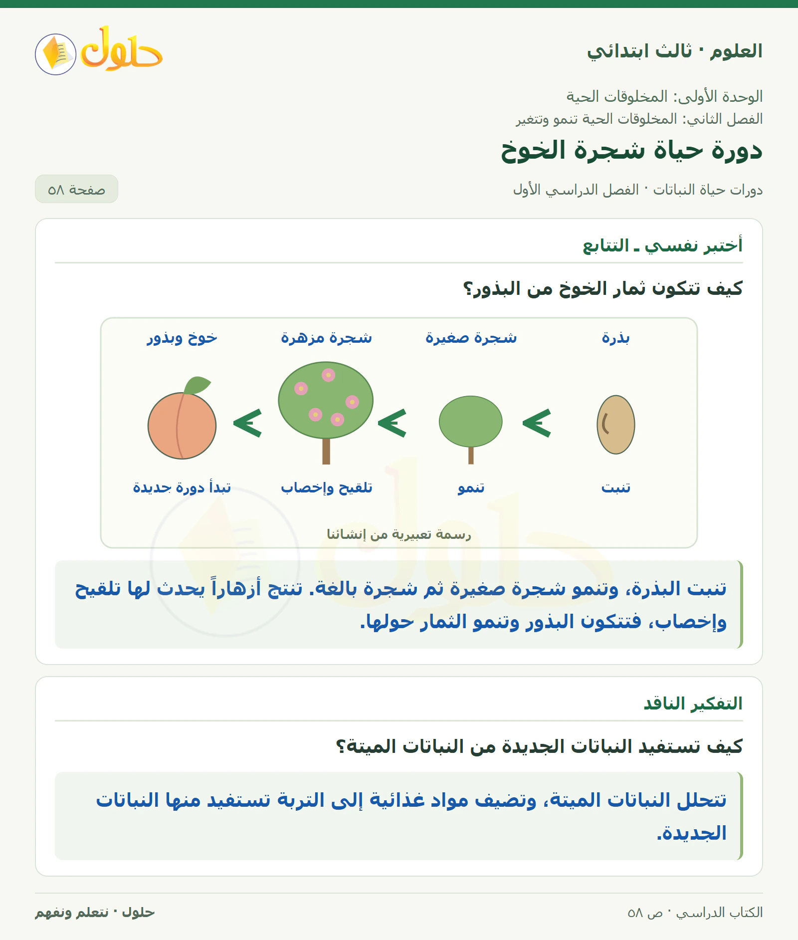 العلوم للصف الثالث الابتدائي، الفصل الدراسي الأول، دورات حياة النباتات، صفحة ٥٨، الجزء ١