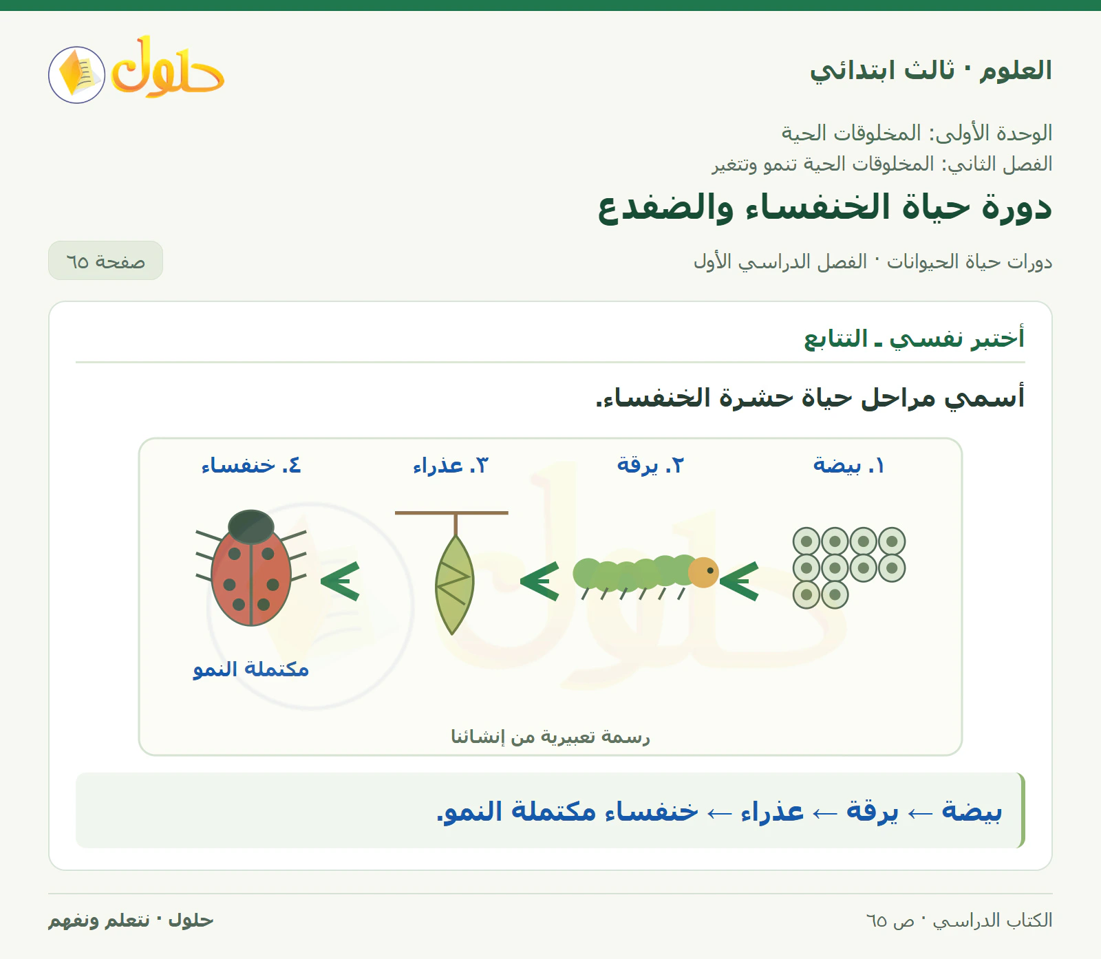 العلوم للصف الثالث الابتدائي، الفصل الدراسي الأول، دورات حياة الحيوانات، صفحة ٦٥، الجزء ١