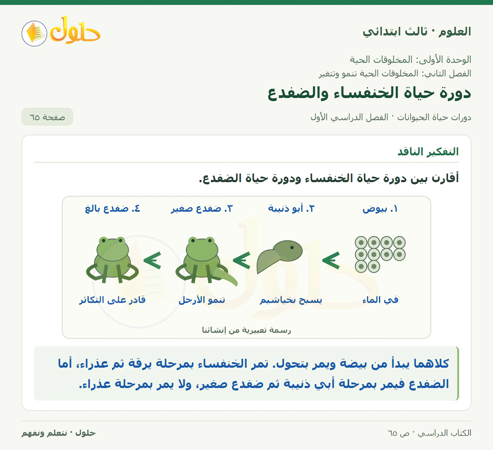 العلوم للصف الثالث الابتدائي، الفصل الدراسي الأول، دورات حياة الحيوانات، صفحة ٦٥، الجزء ٢