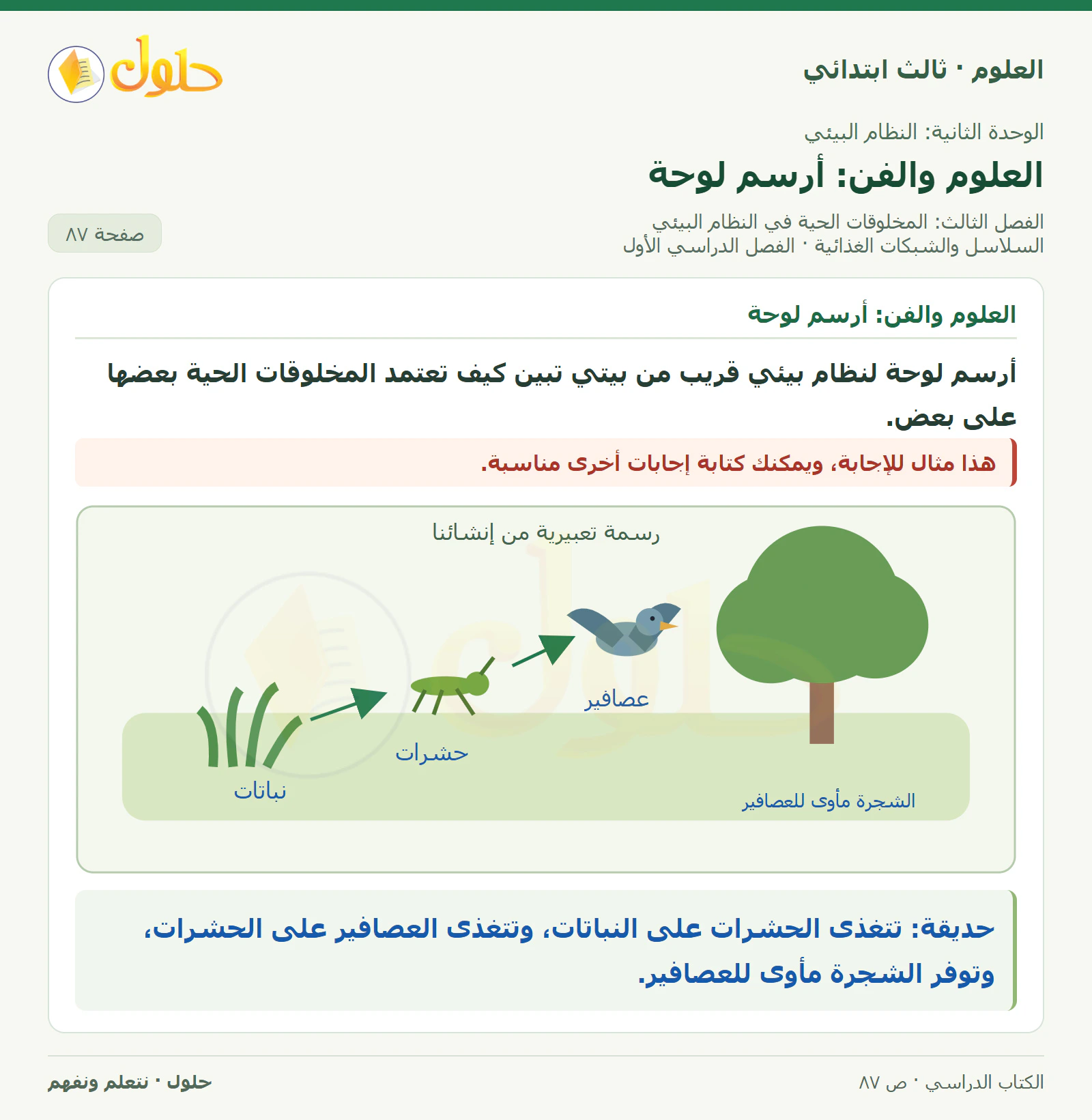 العلوم للصف الثالث الابتدائي، الفصل الدراسي الأول، السلاسل والشبكات الغذائية، صفحة ٨٧، الجزء ٦
