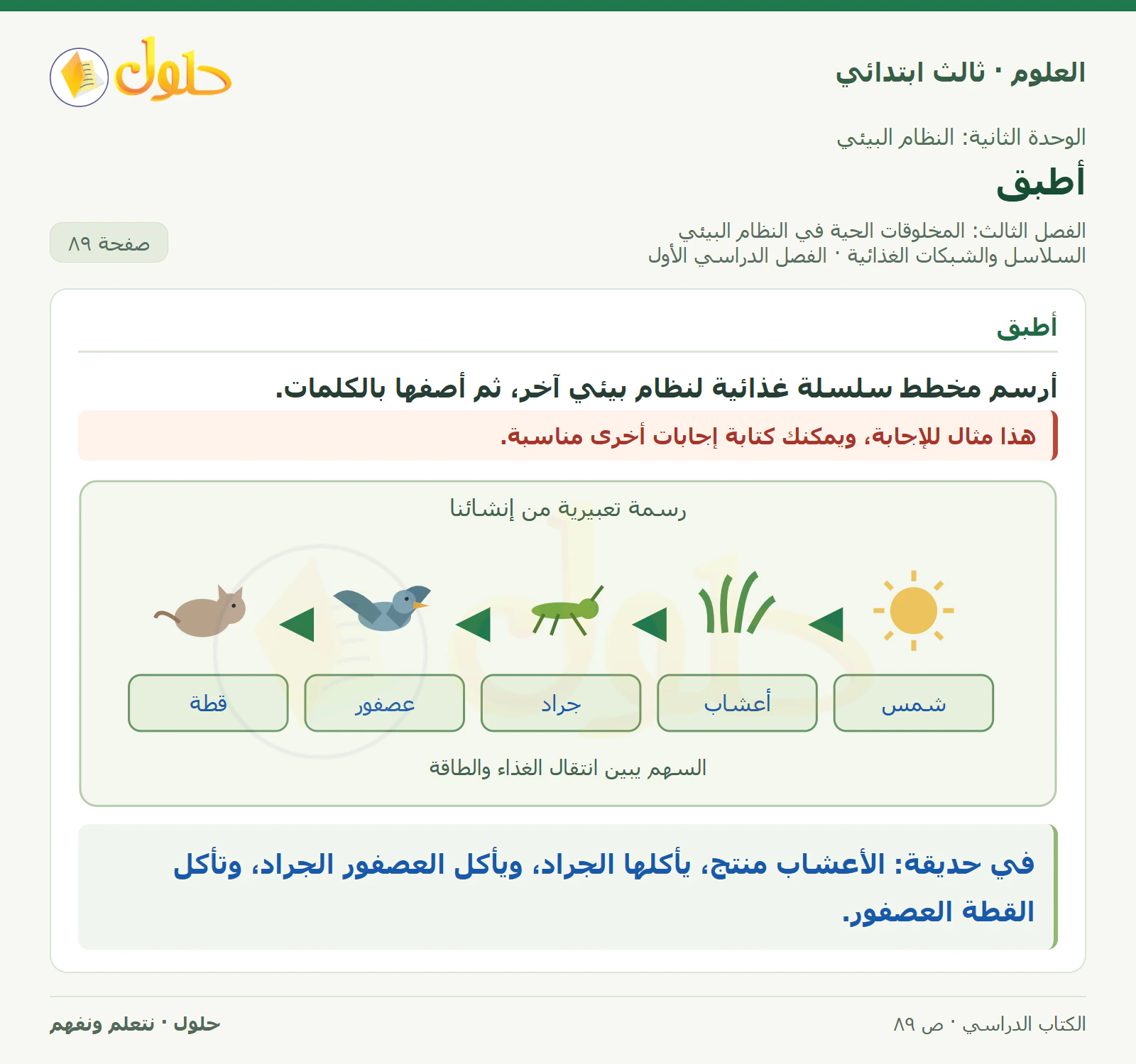 العلوم للصف الثالث الابتدائي، الفصل الدراسي الأول، السلاسل والشبكات الغذائية، صفحة ٨٩، الجزء ٣