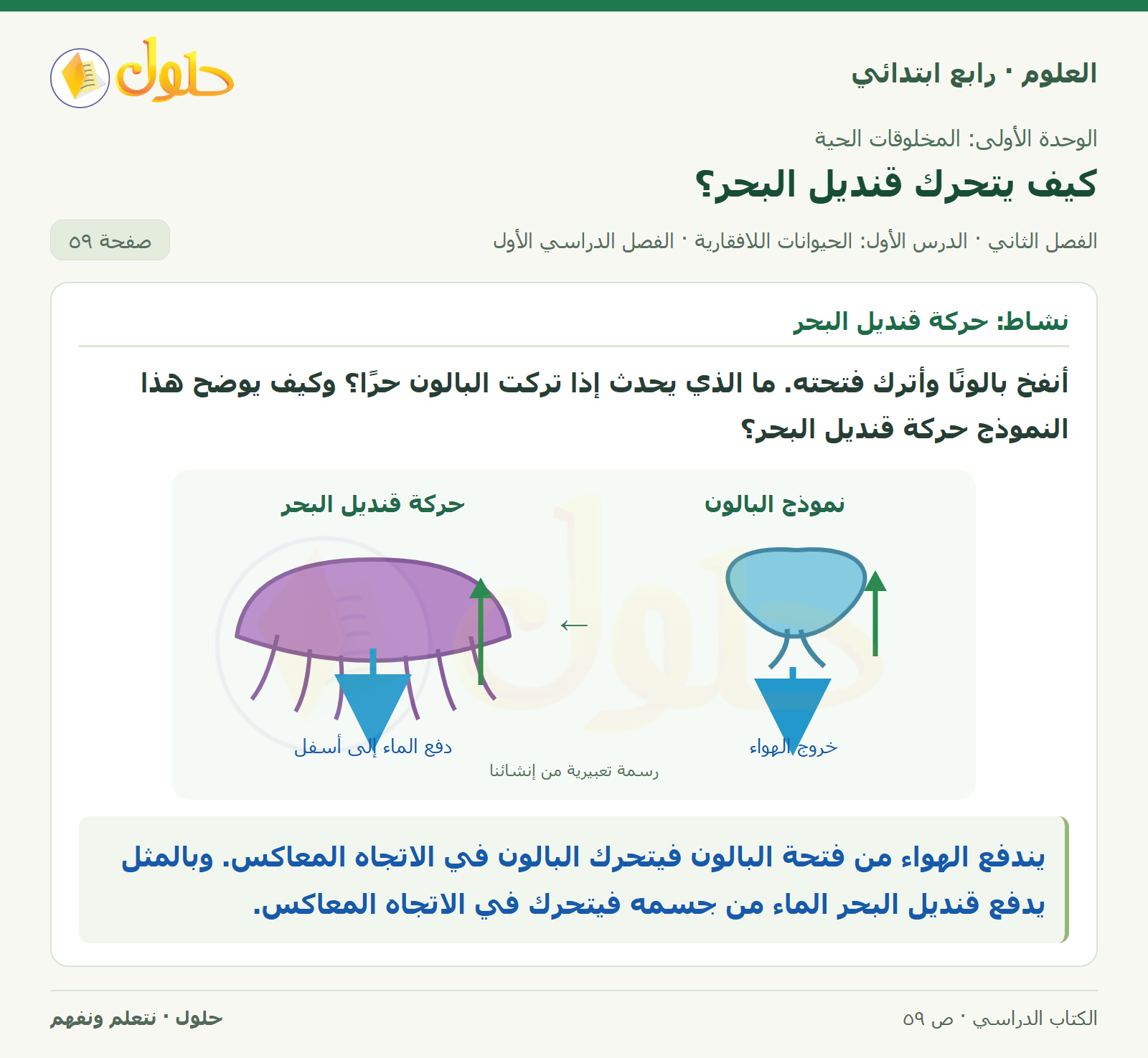 حل العلوم للصف الرابع الابتدائي صفحة 59