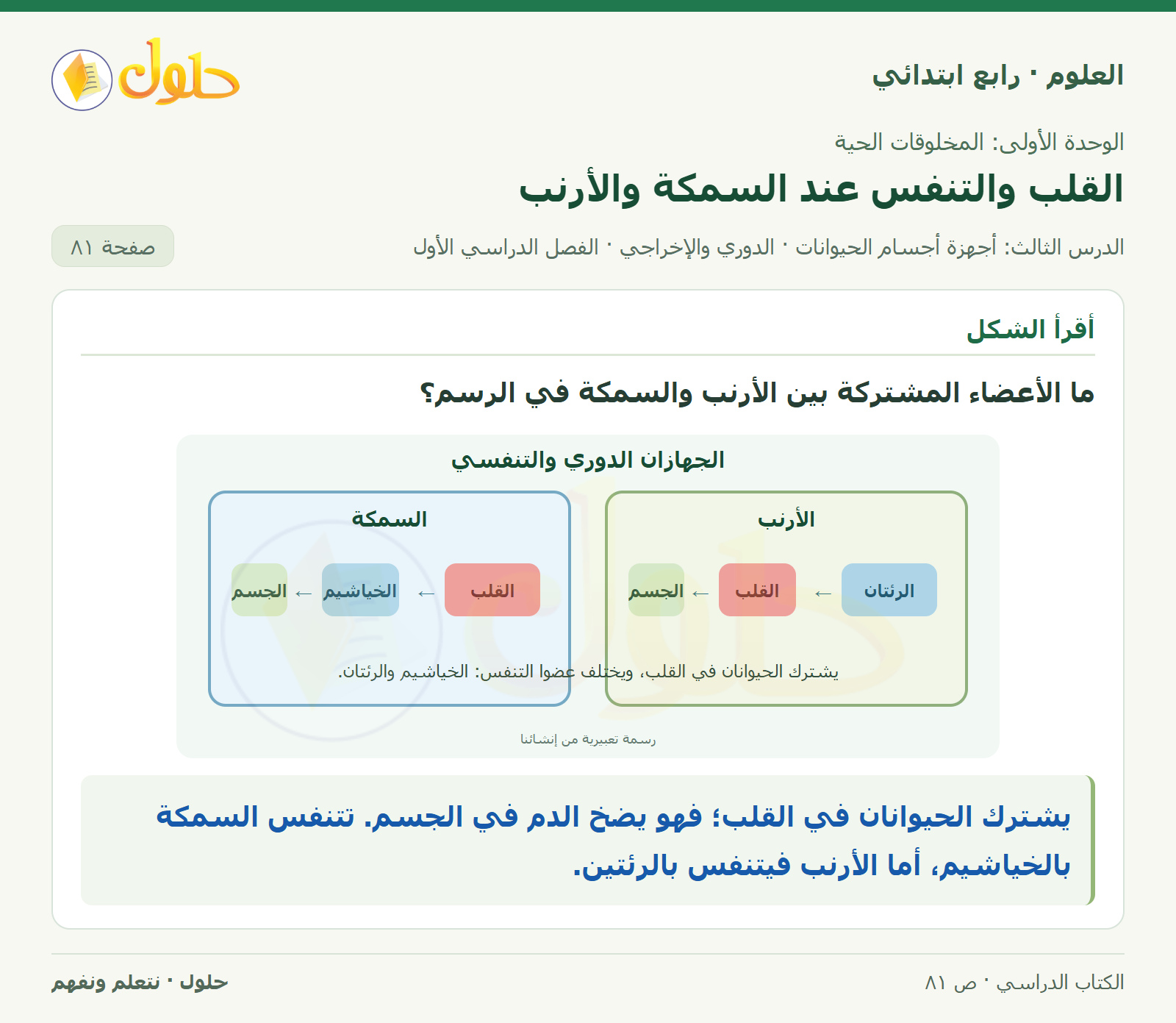 حل العلوم للصف الرابع الابتدائي صفحة 81، الجزء ١