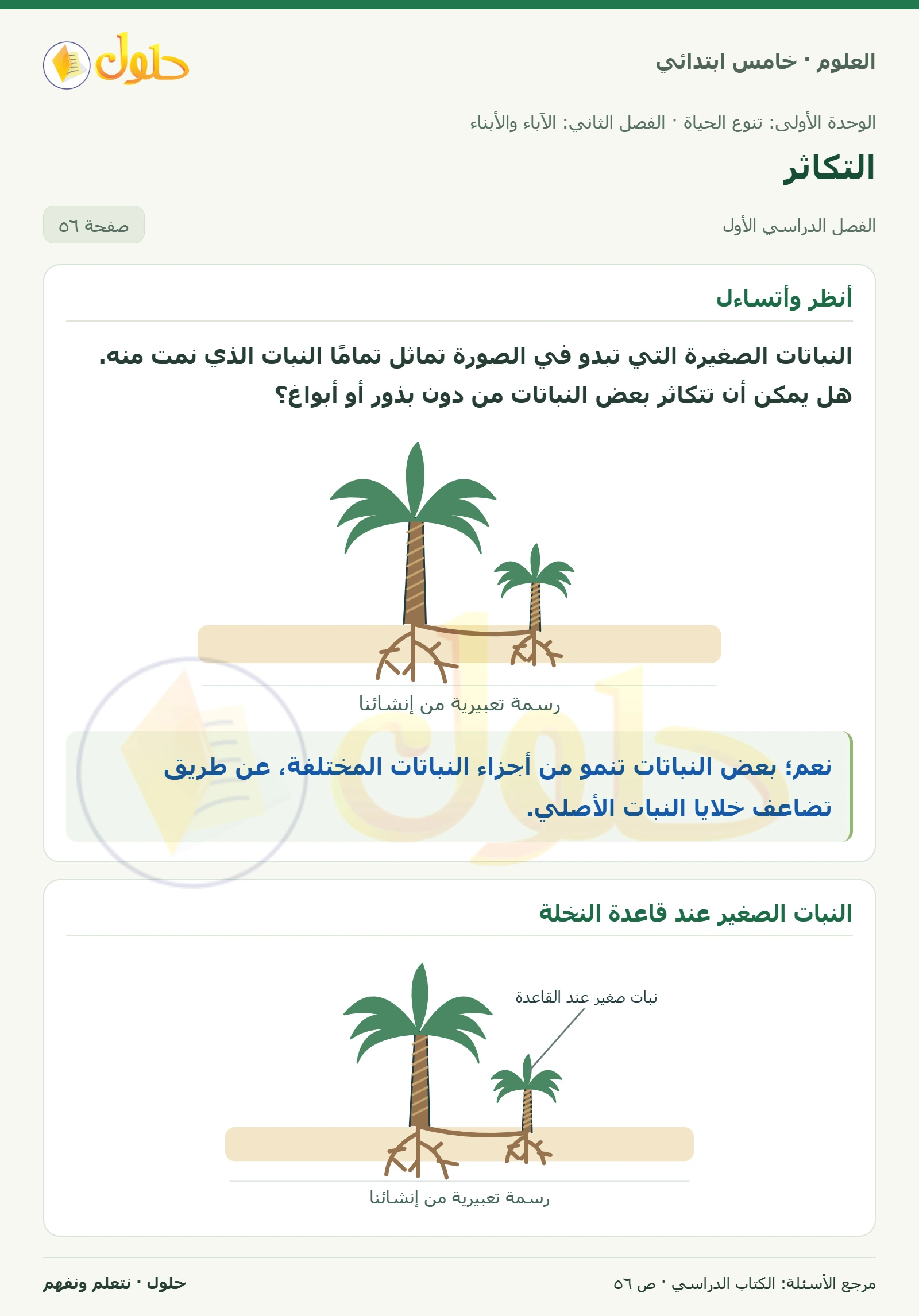 بطاقة العلوم للصف الخامس الابتدائي صفحة 56 الجزء 1