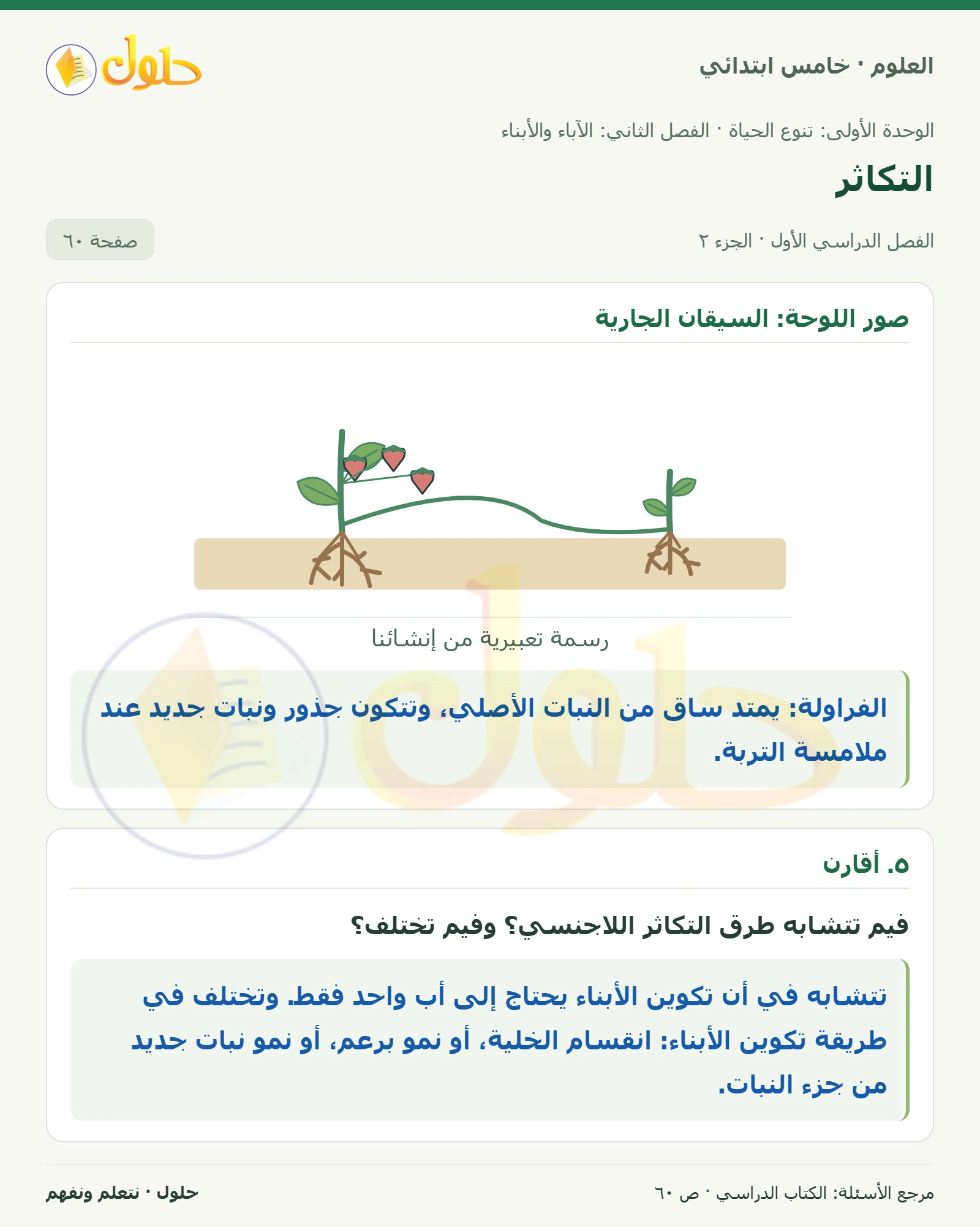 بطاقة العلوم للصف الخامس الابتدائي صفحة 60 الجزء 2