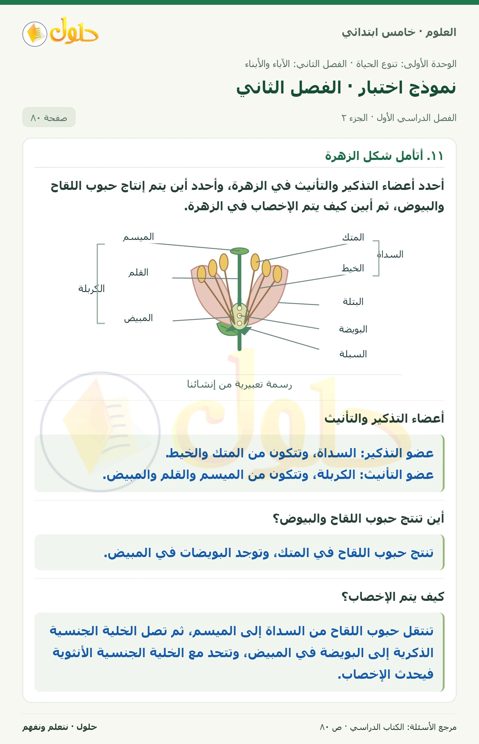 بطاقة العلوم للصف الخامس الابتدائي صفحة 80 الجزء 2