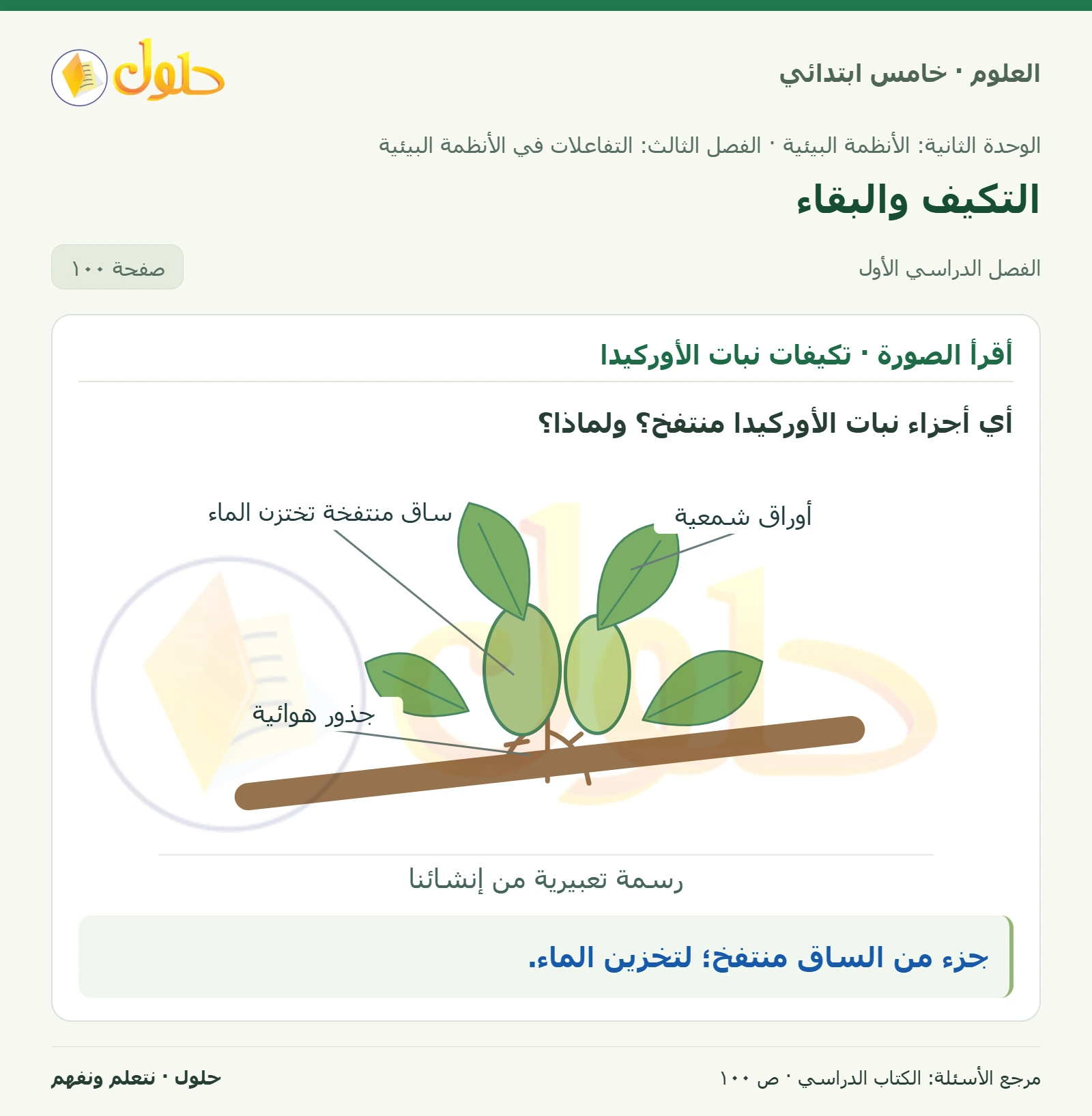 بطاقة العلوم للصف الخامس الابتدائي صفحة 100 الجزء 1