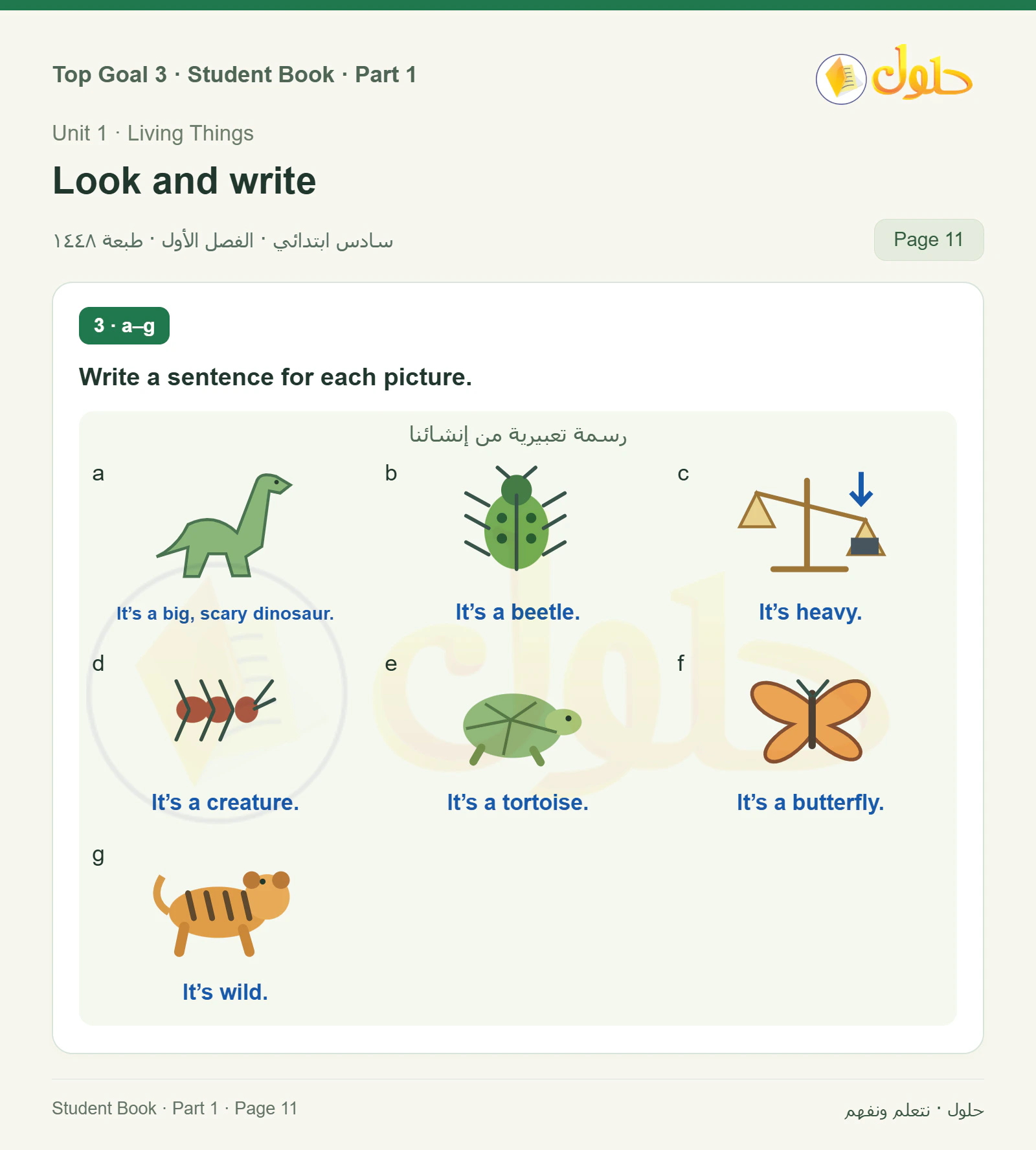 حل اللغة الإنجليزية للصف السادس الابتدائي صفحة ١١ — الجزء ١