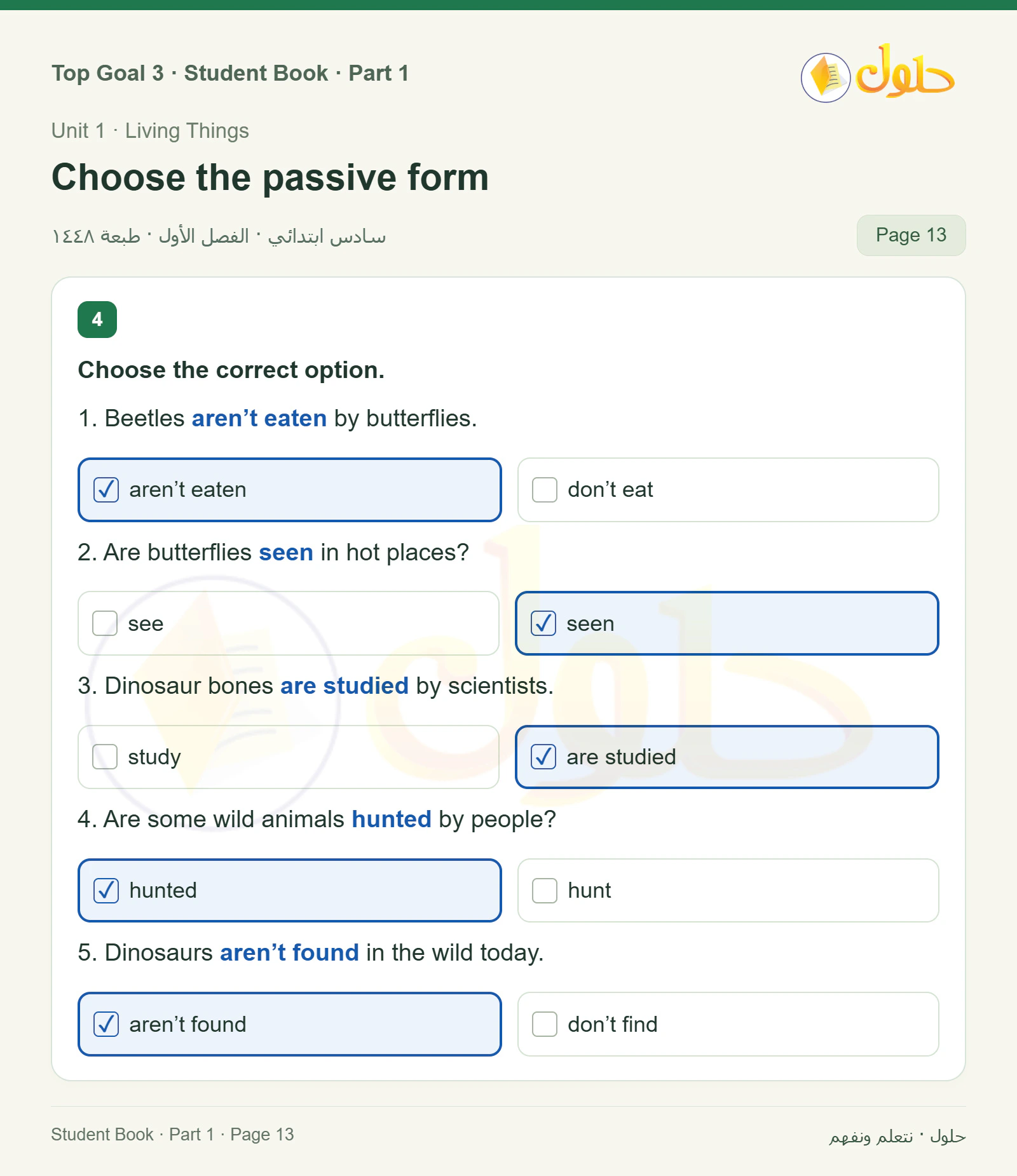 حل اللغة الإنجليزية للصف السادس الابتدائي صفحة ١٣ — الجزء ١