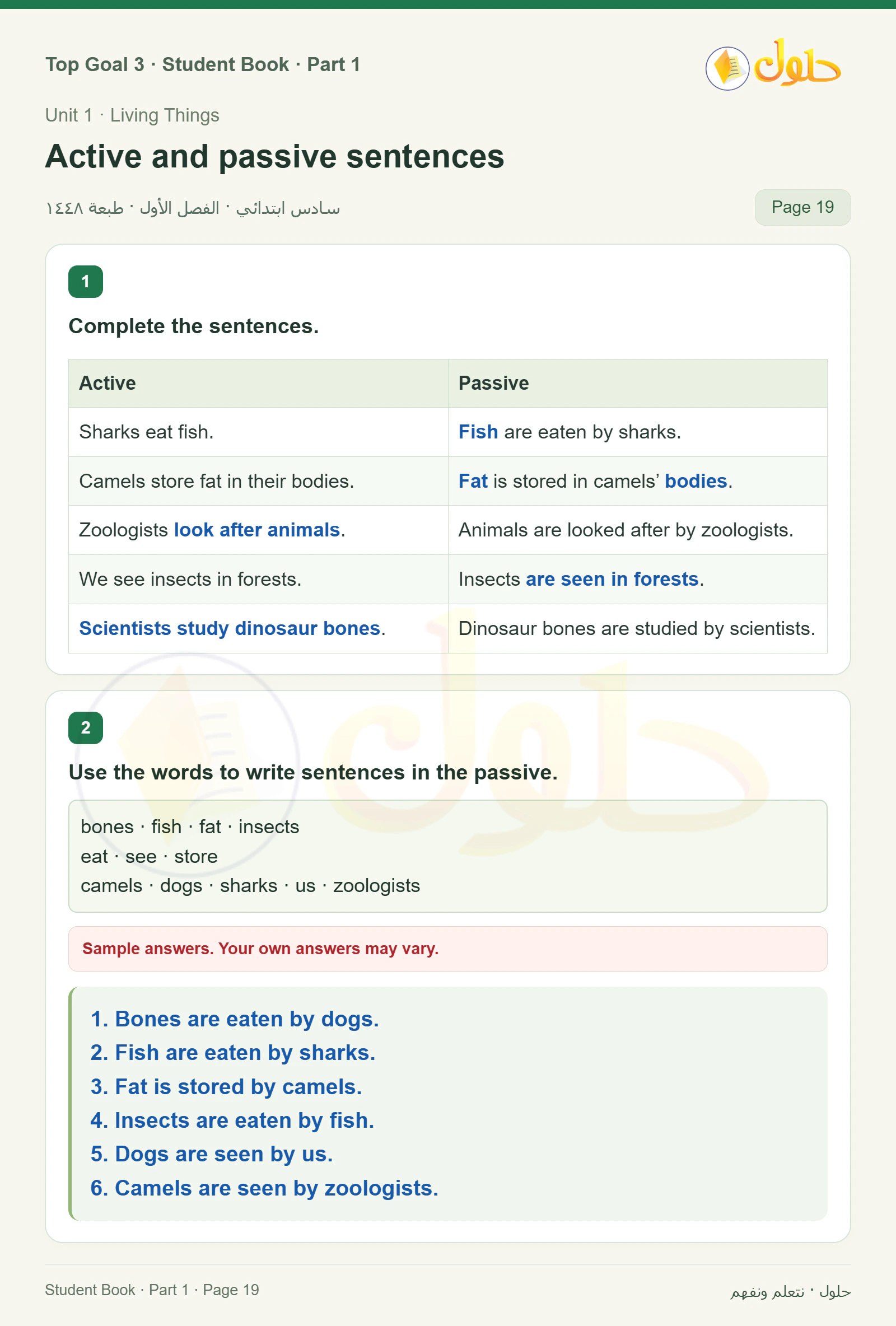 حل اللغة الإنجليزية للصف السادس الابتدائي صفحة ١٩ — الجزء ١