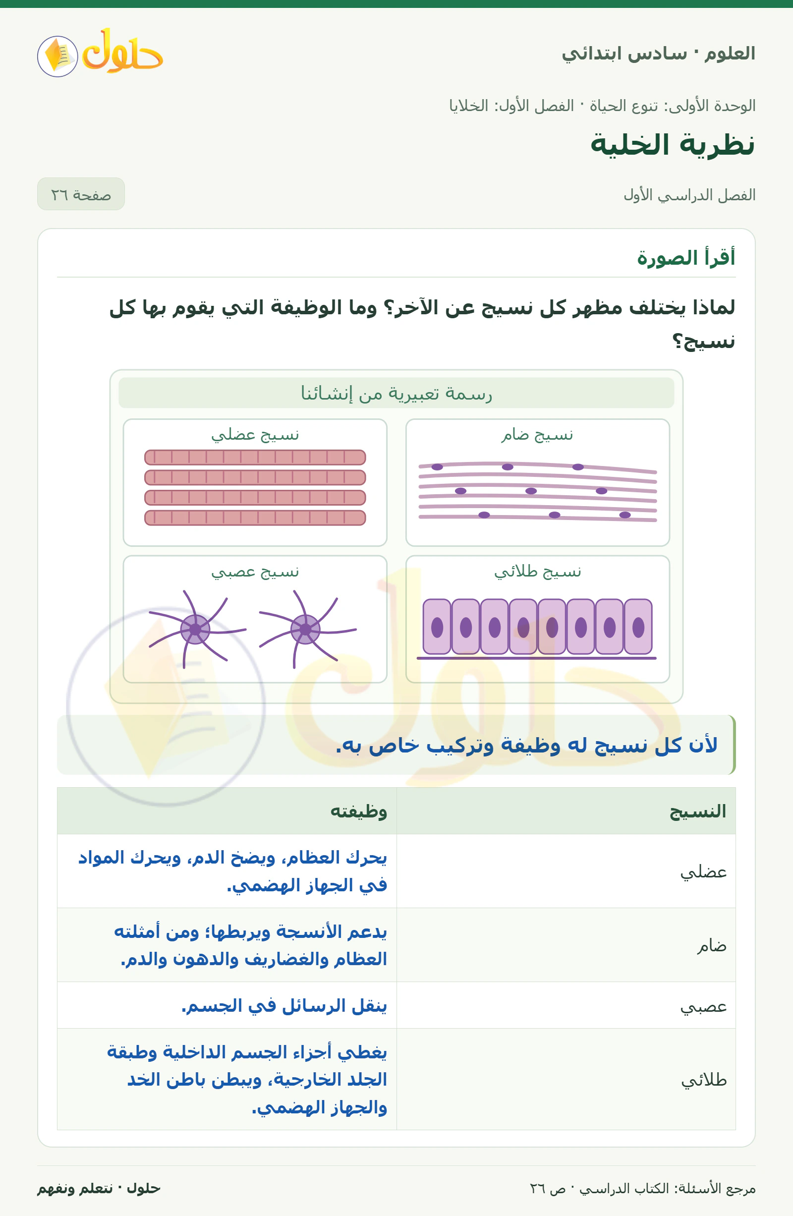 العلوم للصف السادس الابتدائي صفحة 26