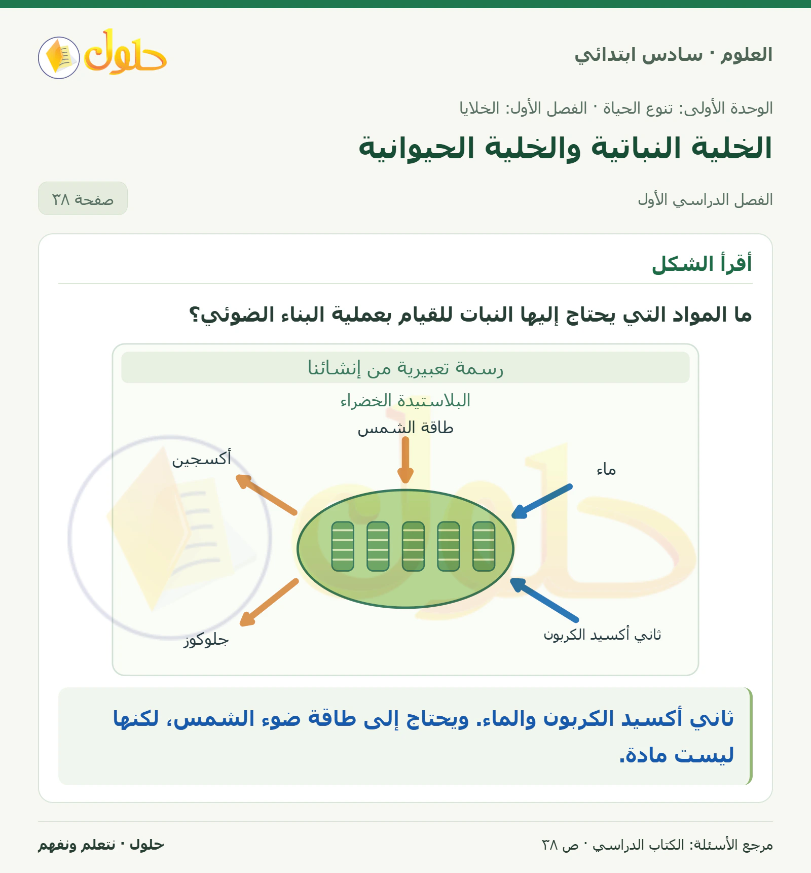العلوم للصف السادس الابتدائي صفحة 38