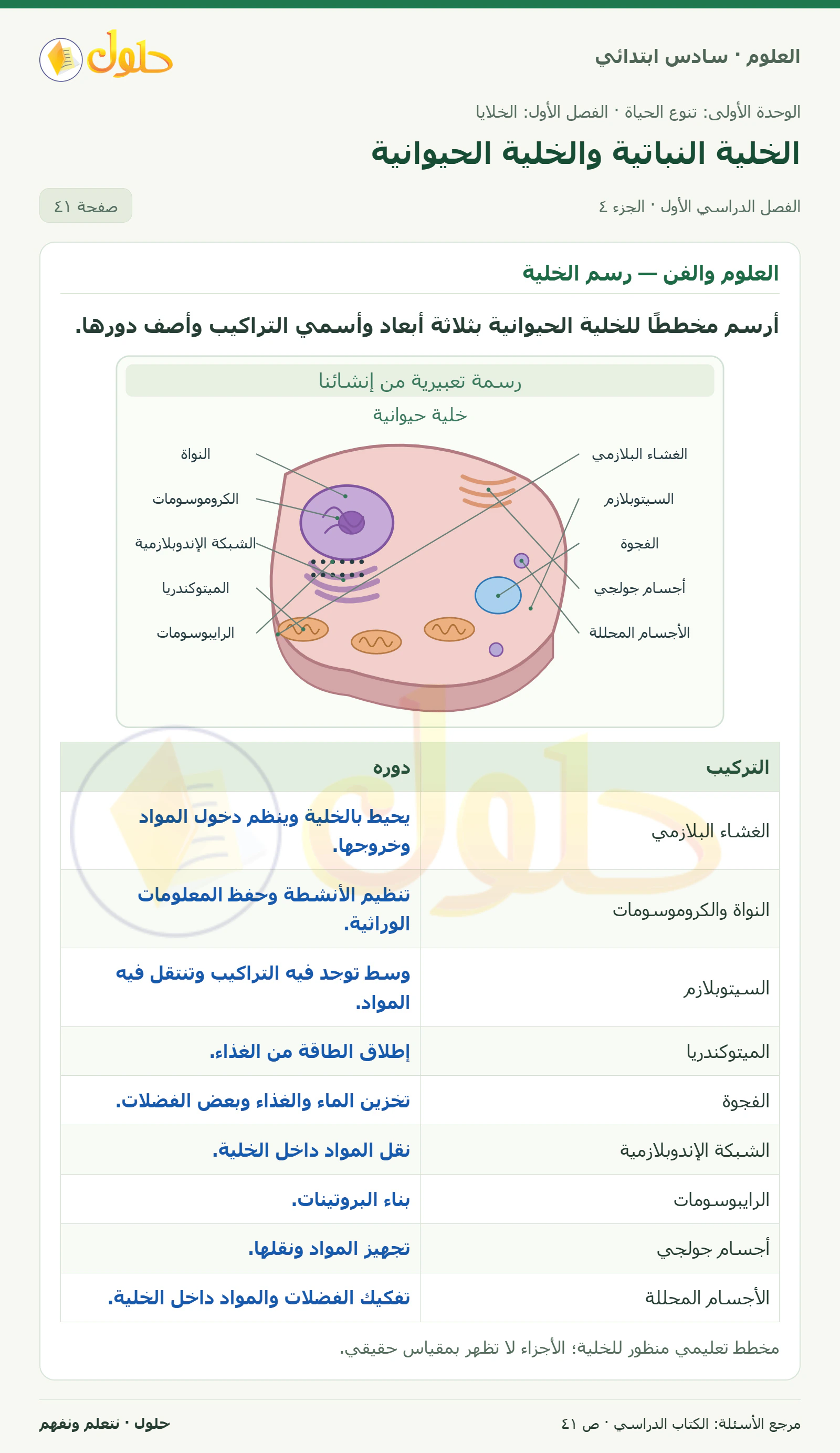 العلوم للصف السادس الابتدائي صفحة 41 — الجزء ٤