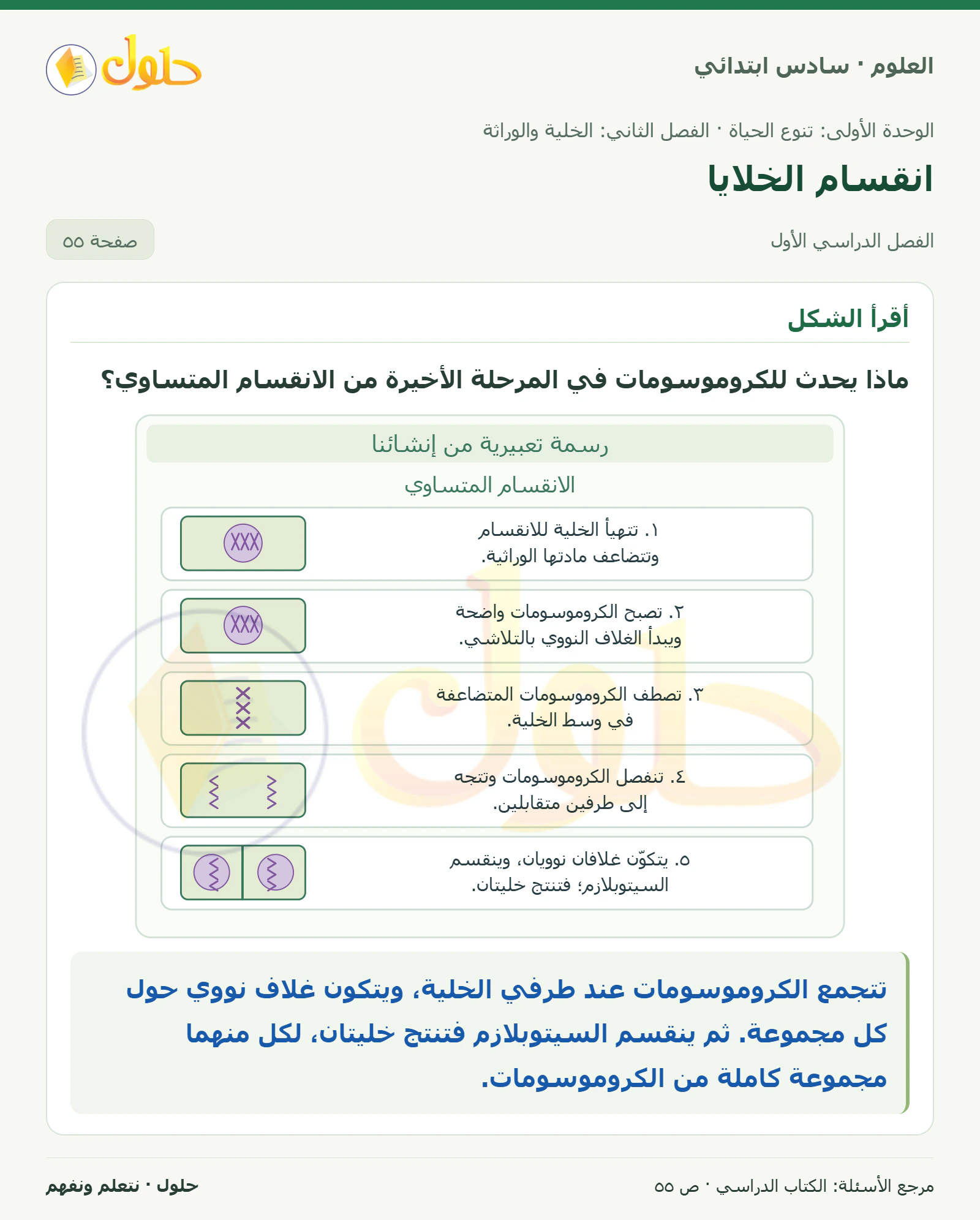 العلوم للصف السادس الابتدائي صفحة 55 — الجزء ١