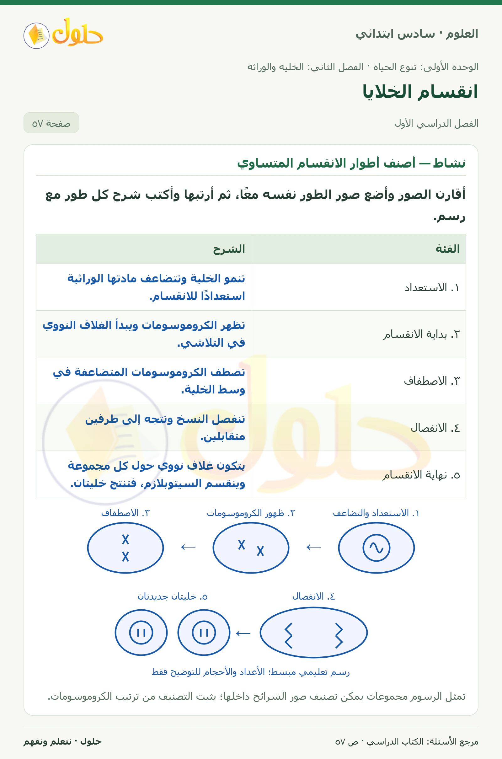 العلوم للصف السادس الابتدائي صفحة 57 — الجزء ١