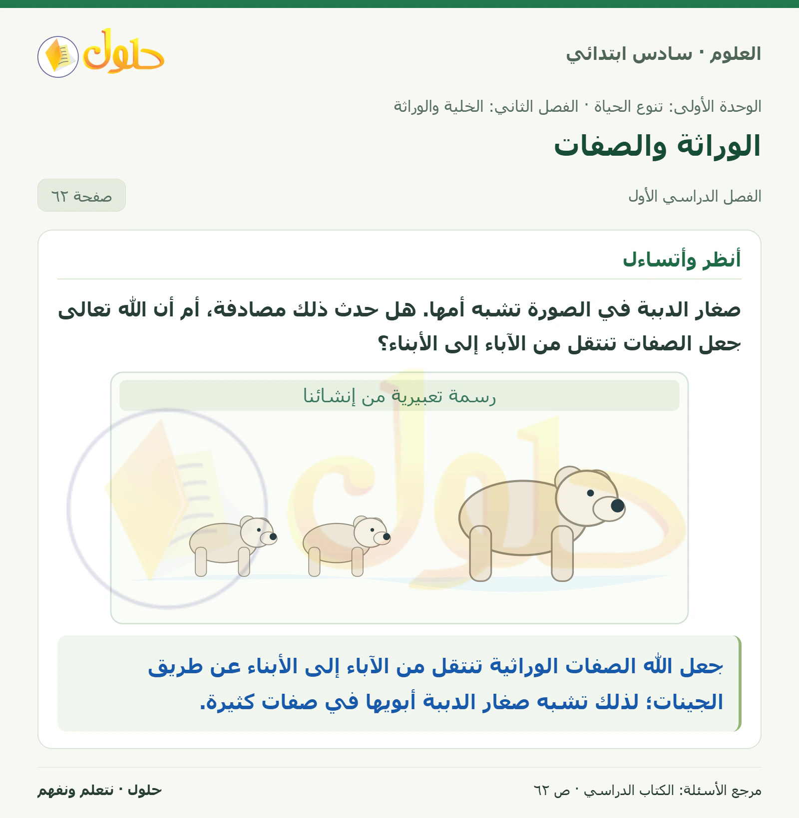 العلوم للصف السادس الابتدائي صفحة 62