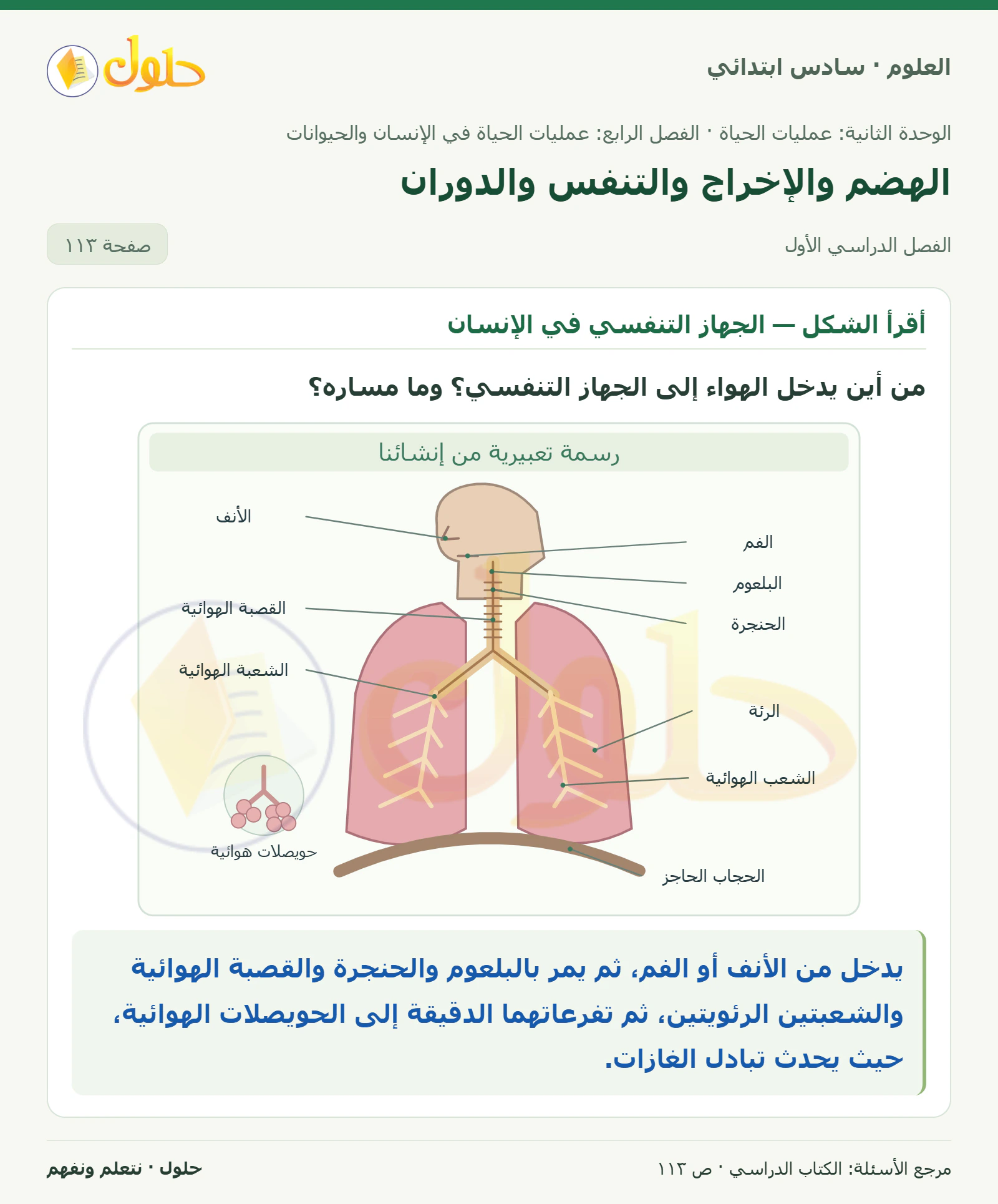 العلوم للصف السادس الابتدائي صفحة 113 — الجزء ١