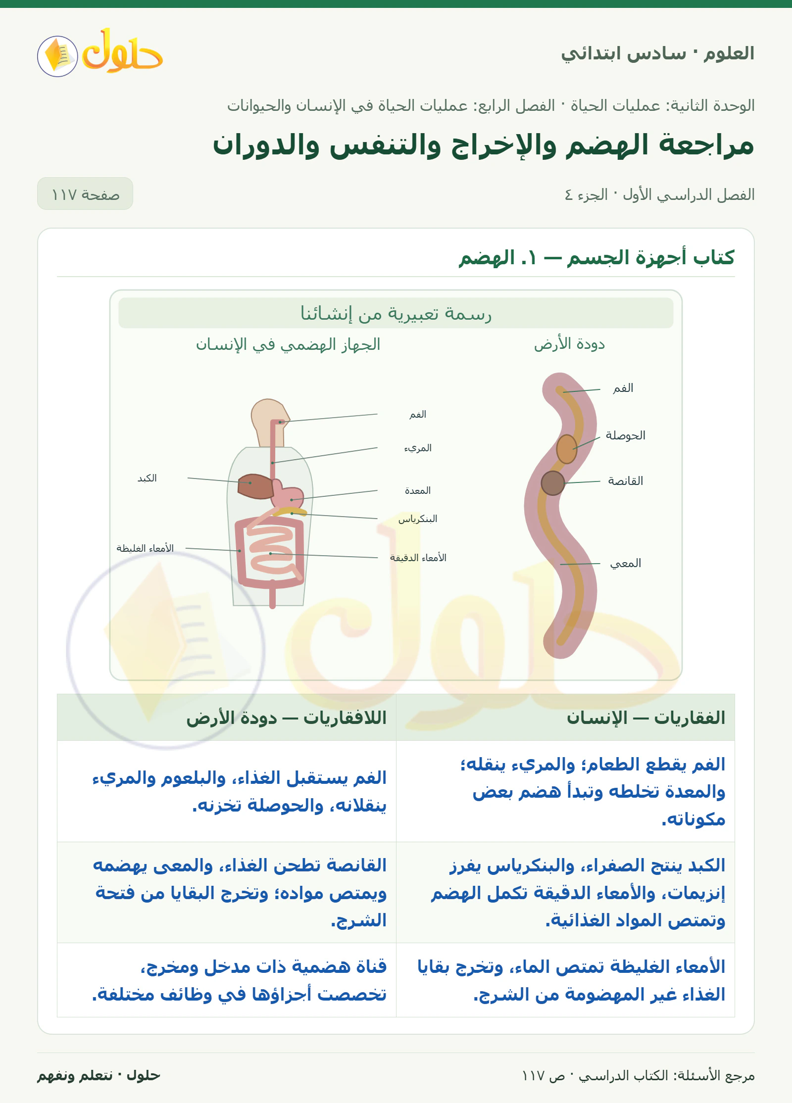 العلوم للصف السادس الابتدائي صفحة 117 — الجزء ٤