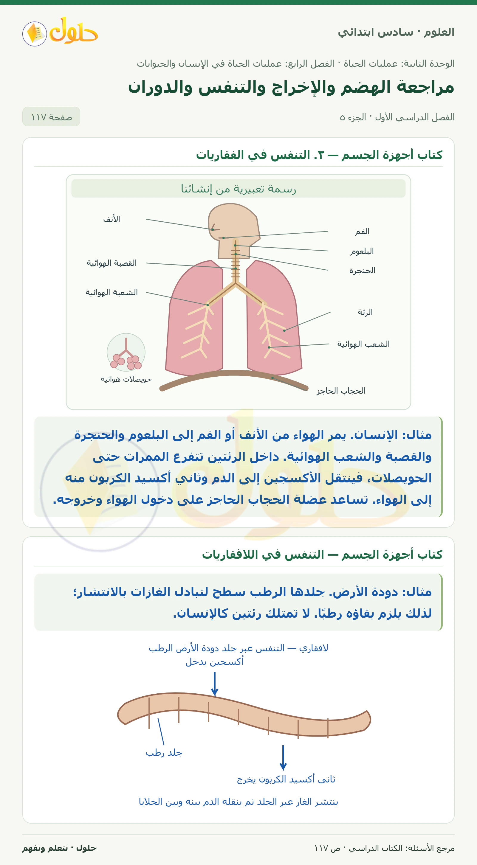العلوم للصف السادس الابتدائي صفحة 117 — الجزء ٥