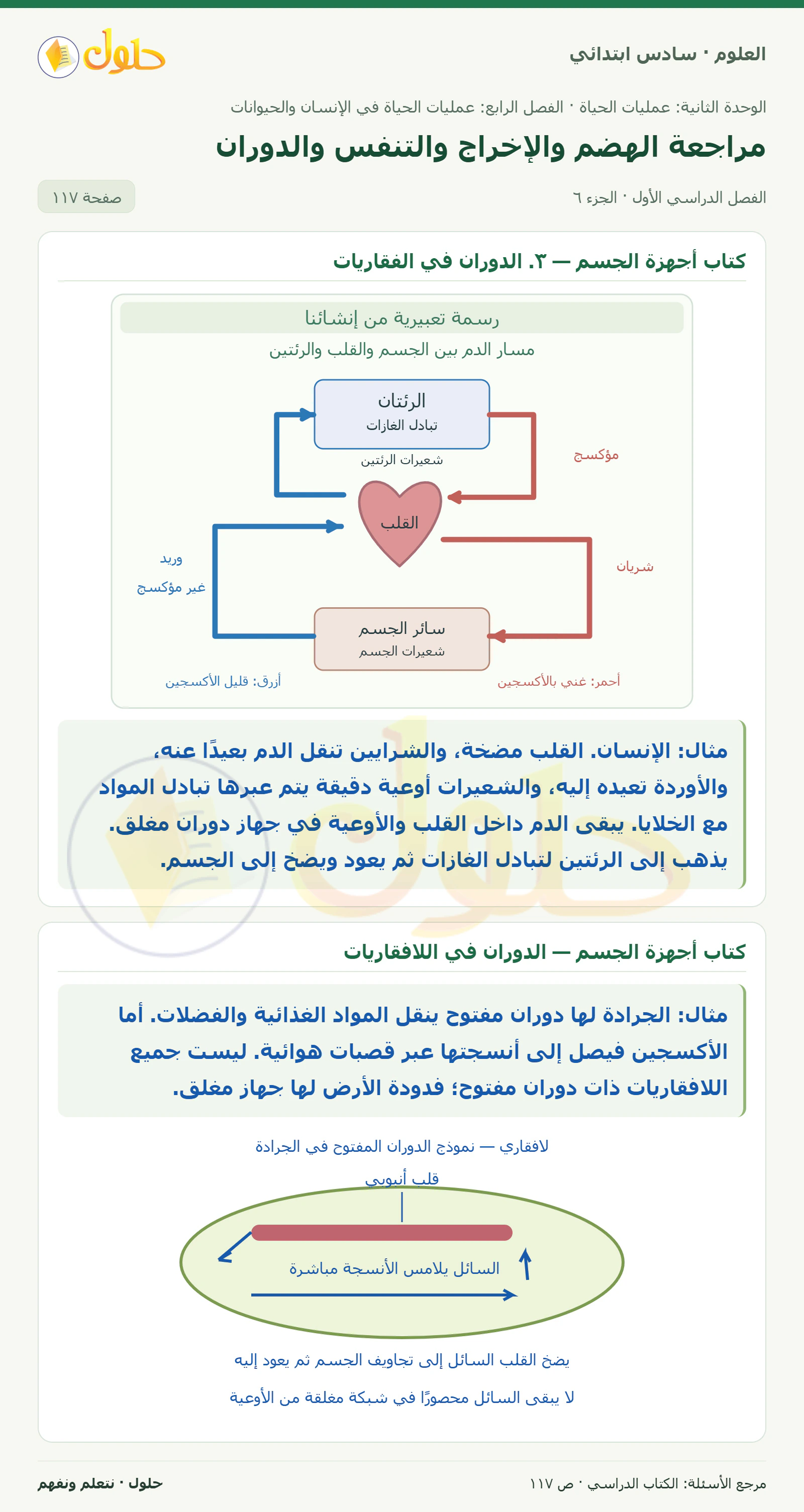العلوم للصف السادس الابتدائي صفحة 117 — الجزء ٦
