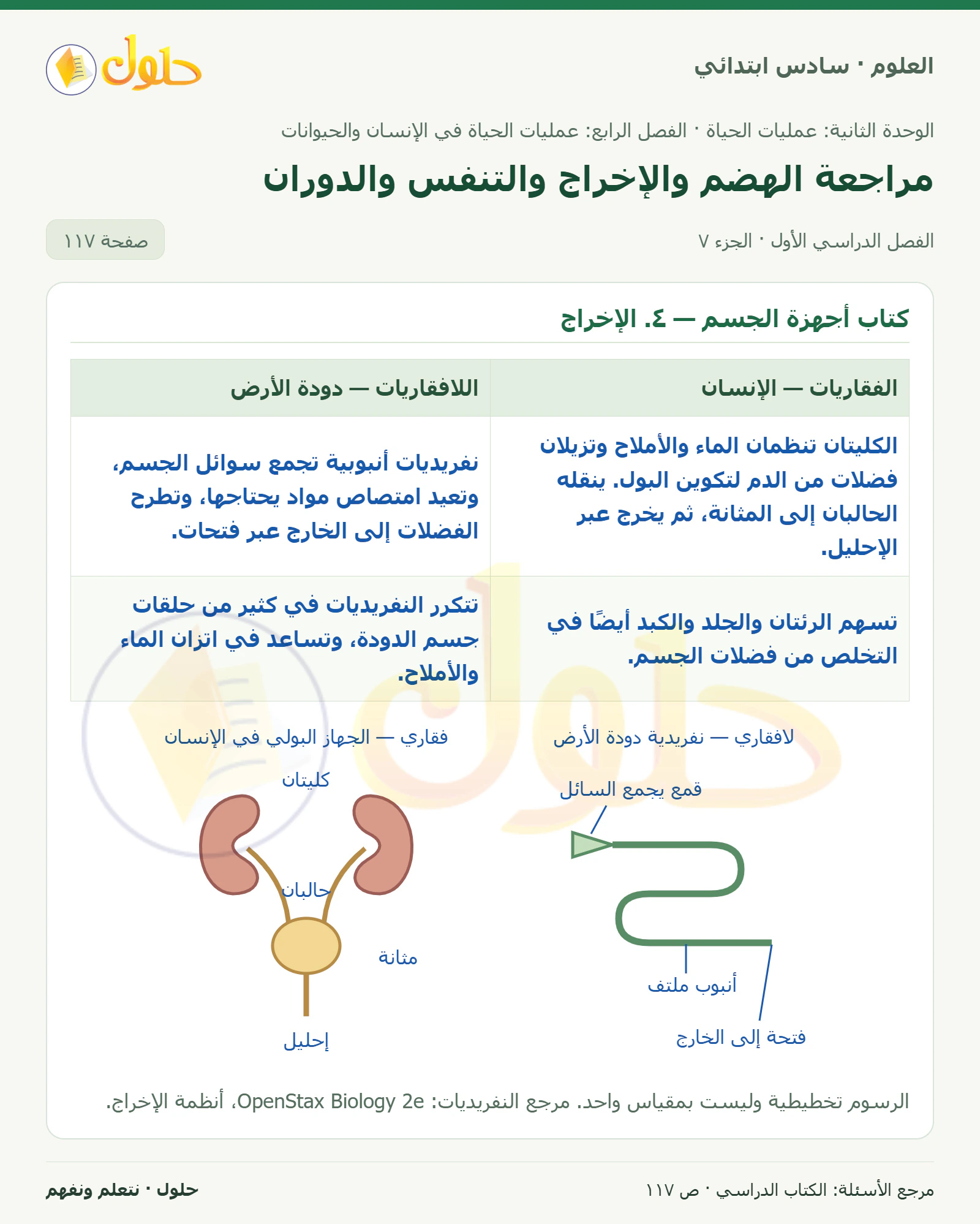 العلوم للصف السادس الابتدائي صفحة 117 — الجزء ٧
