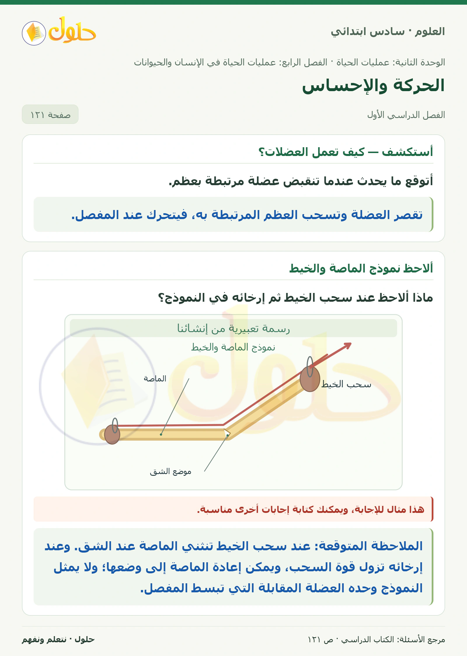 العلوم للصف السادس الابتدائي صفحة 121 — الجزء ١