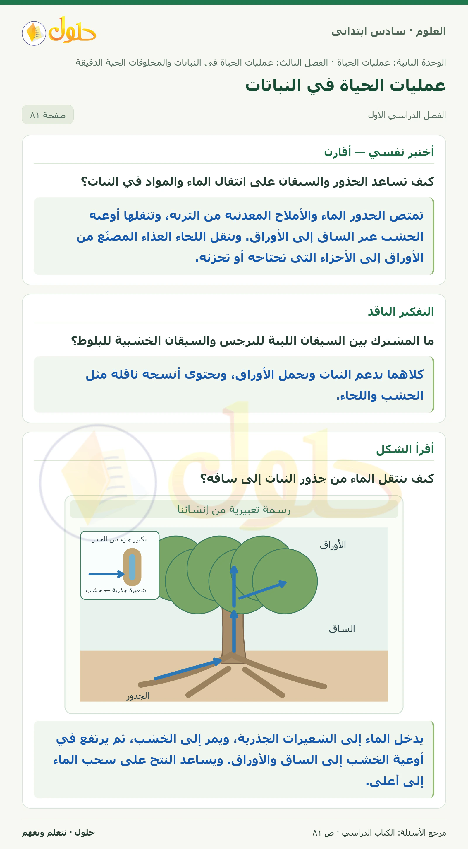 العلوم للصف السادس الابتدائي صفحة 81