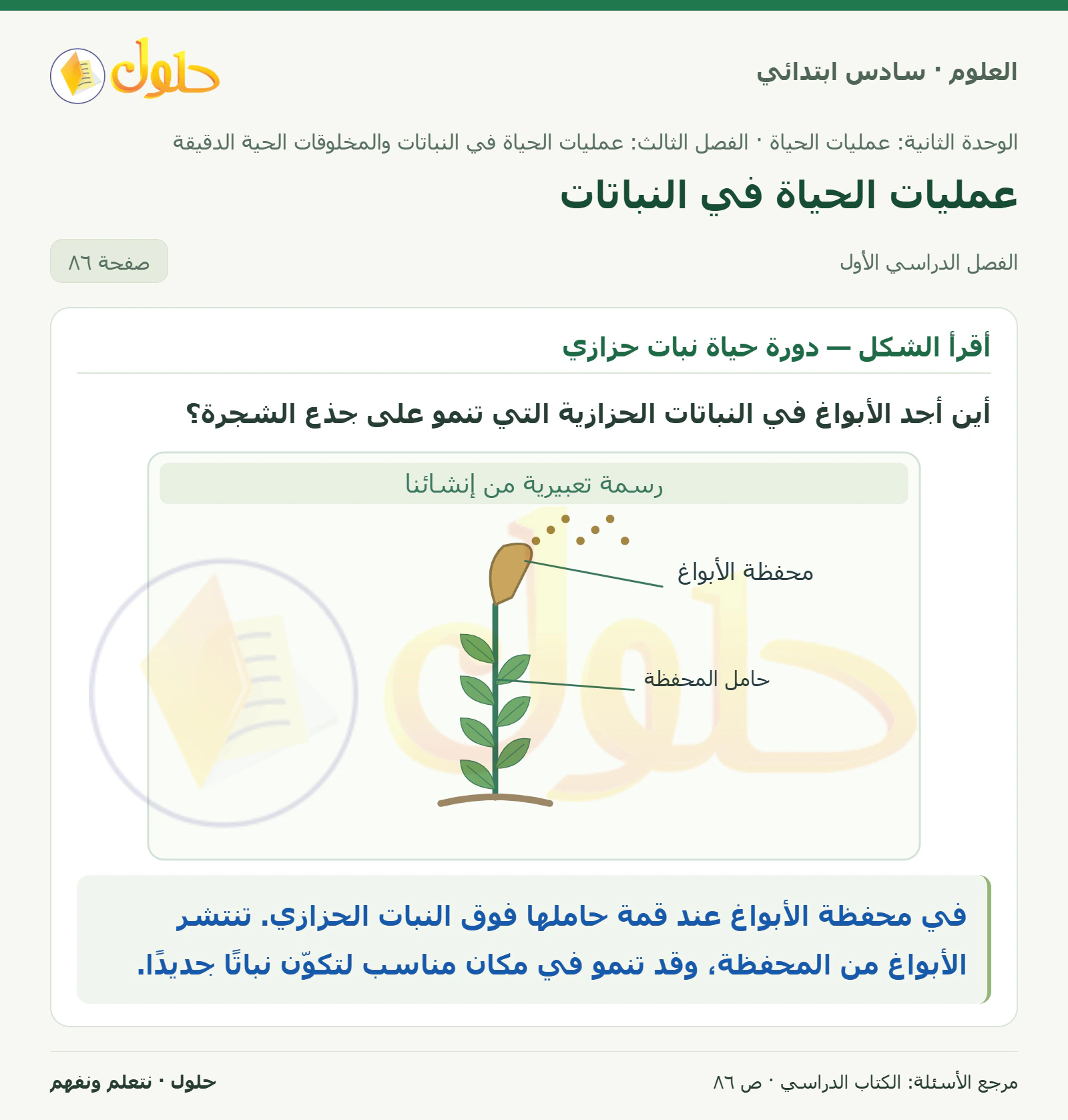 العلوم للصف السادس الابتدائي صفحة 86