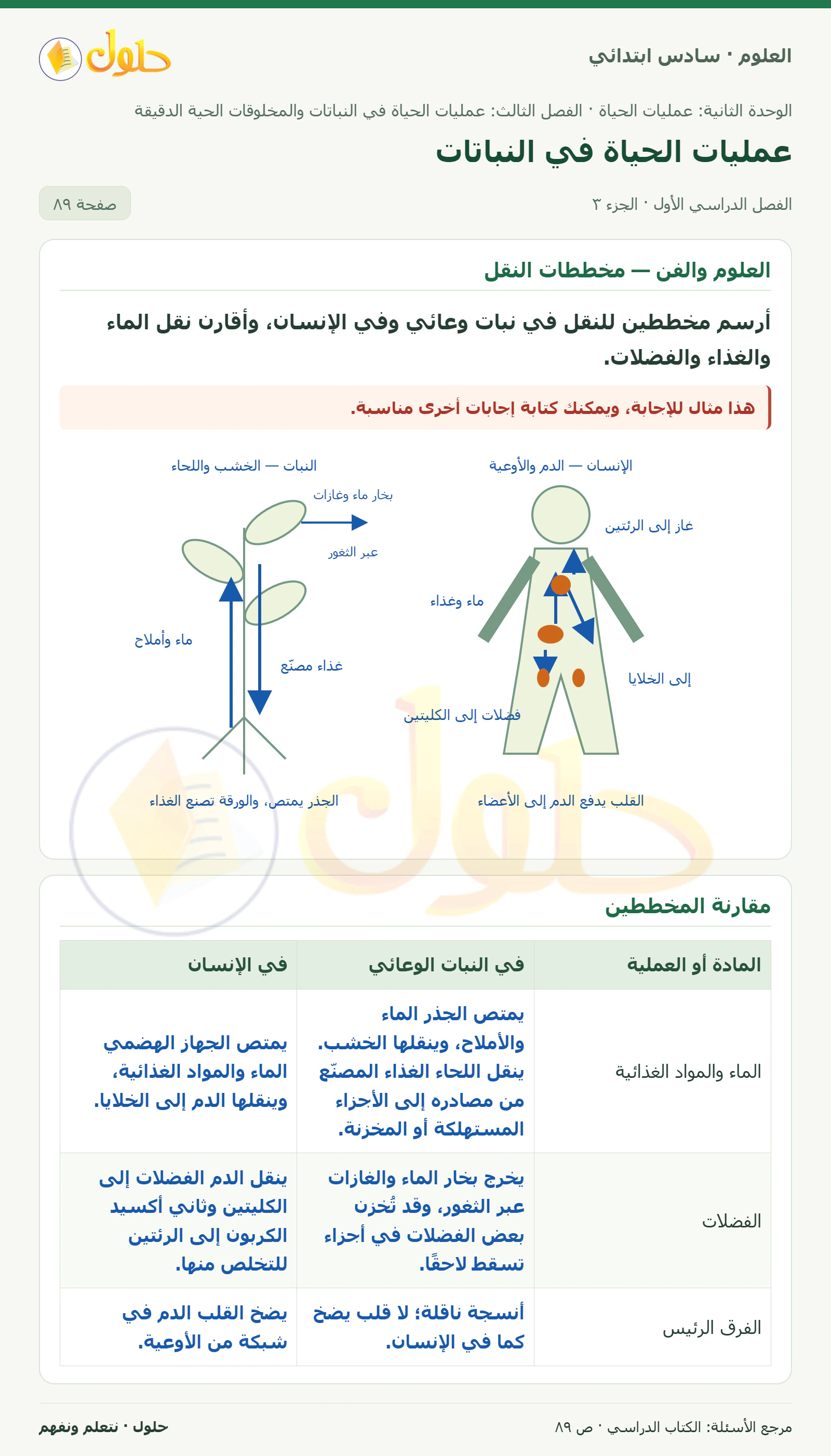 العلوم للصف السادس الابتدائي صفحة 89 — الجزء ٣