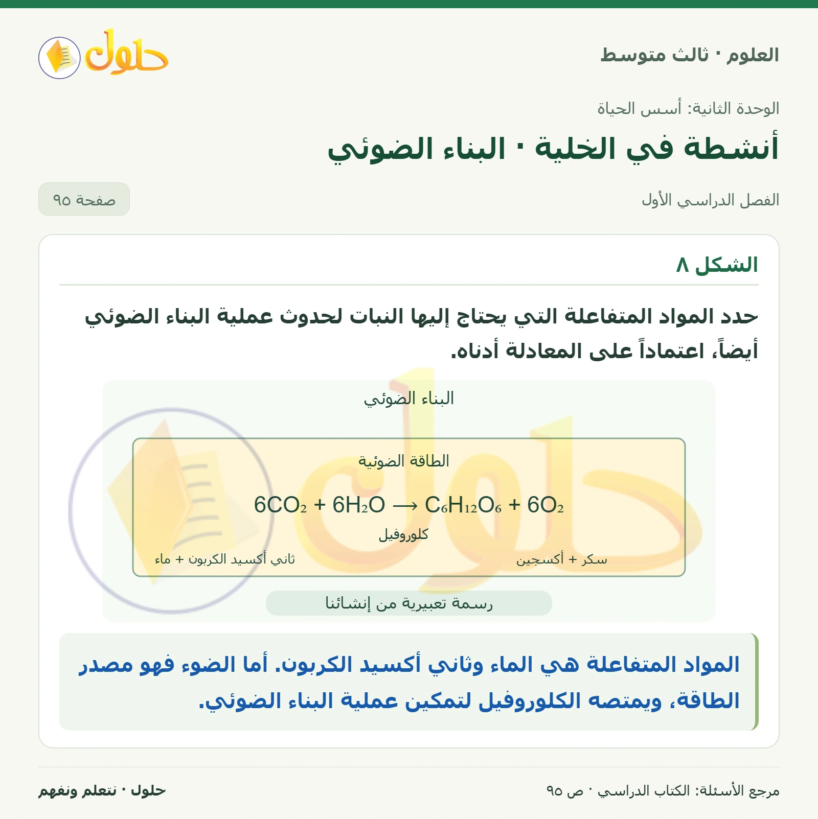 العلوم للصف الثالث المتوسط، صفحة 95، الجزء 1: حدد المواد المتفاعلة التي يحتاج إليها النبات لحدوث عملية البناء الضوئي أيضاً، اعتماداً على المعادلة…