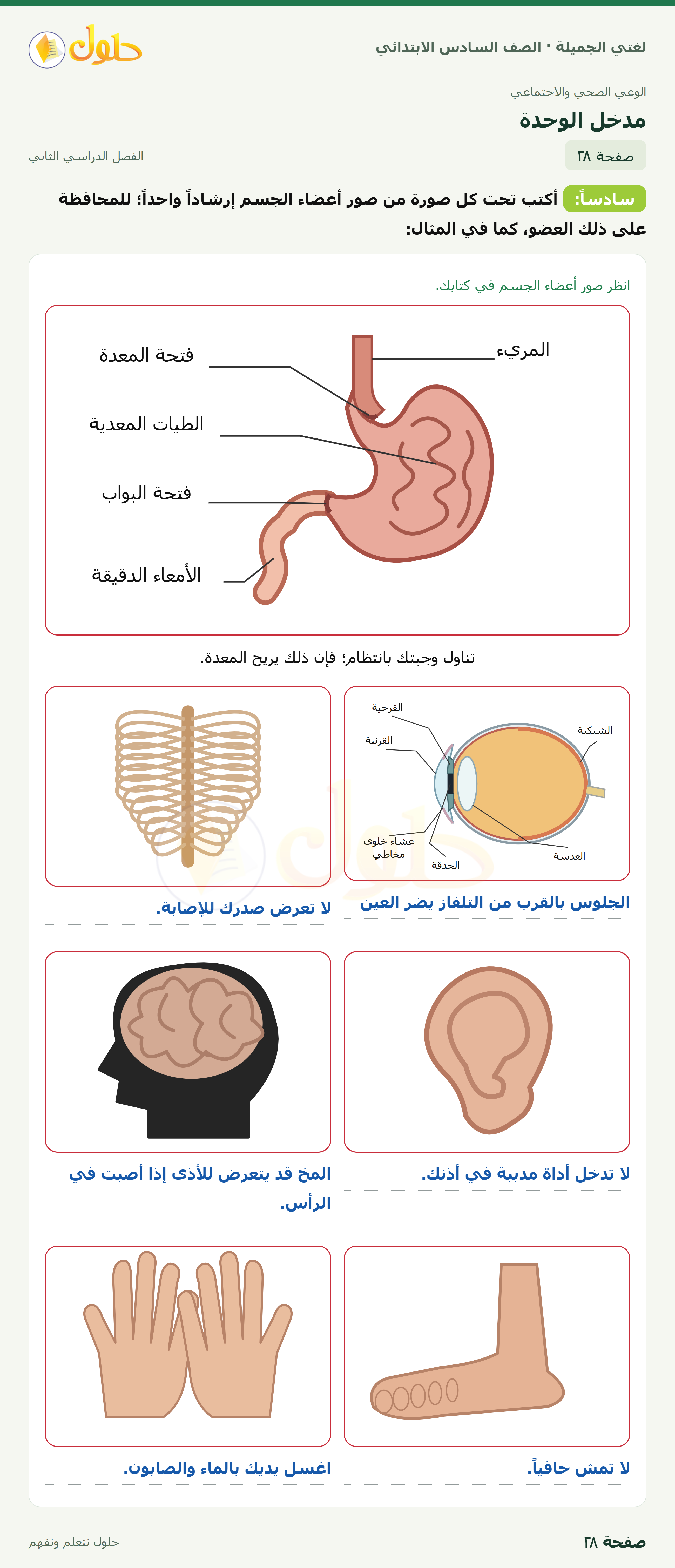 لغتي الجميلة · مدخل الوحدة · صفحة ٢٨