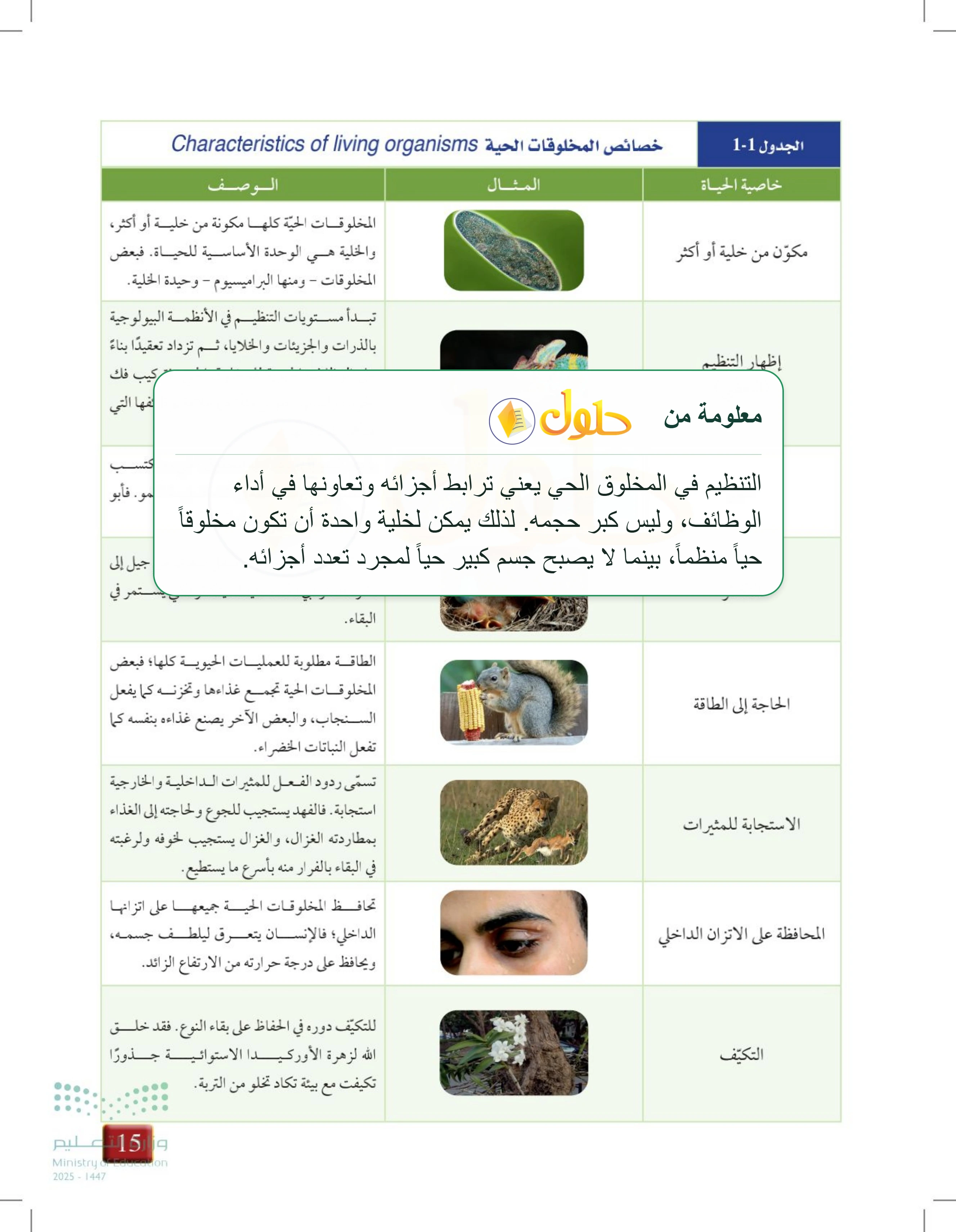 شرح وملخص درس 1-1: مدخل إلى علم الأحياء — صفحة 15
